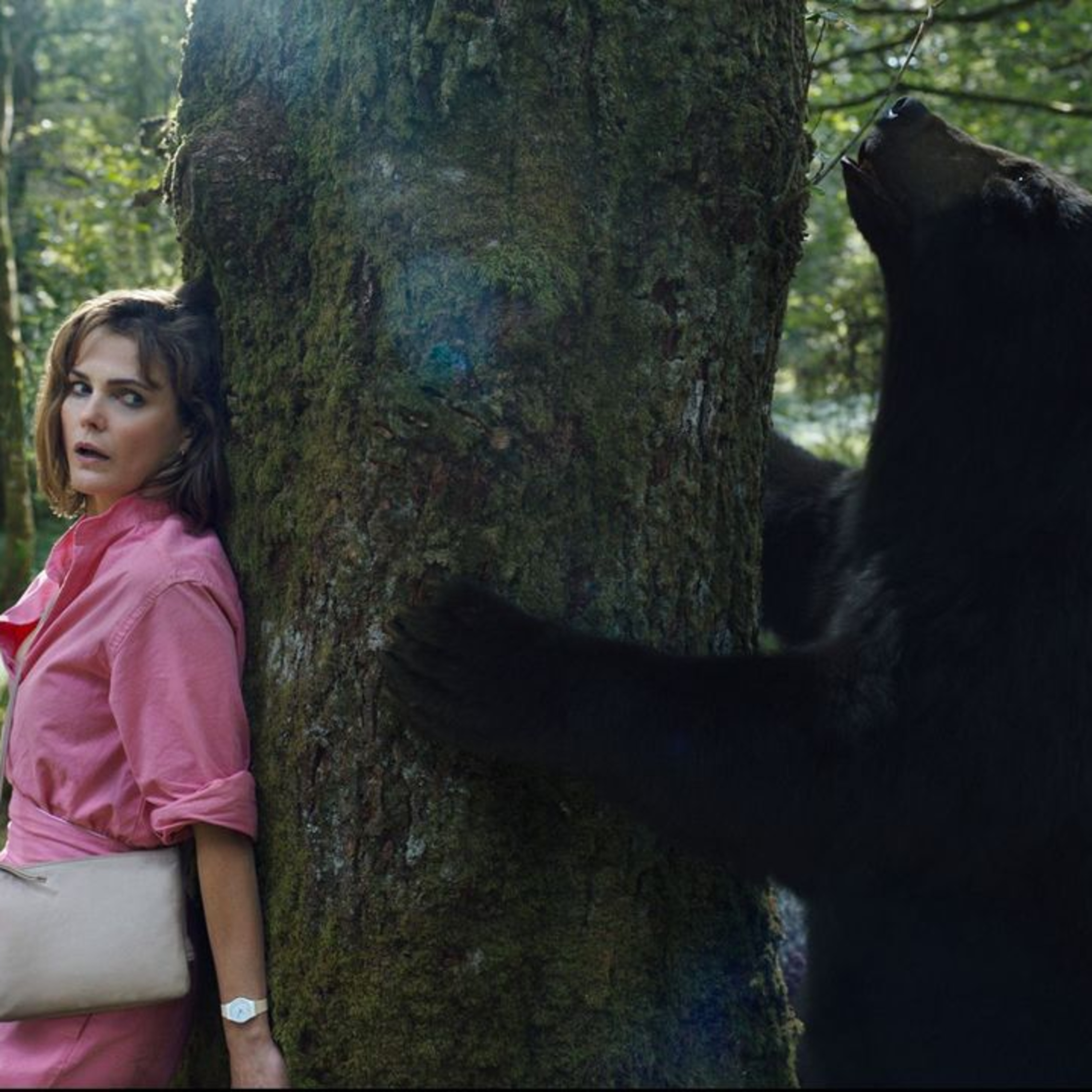 O que assistir: 'O Urso do Pó Branco', 'Rei da TV' e 'Wellmania'