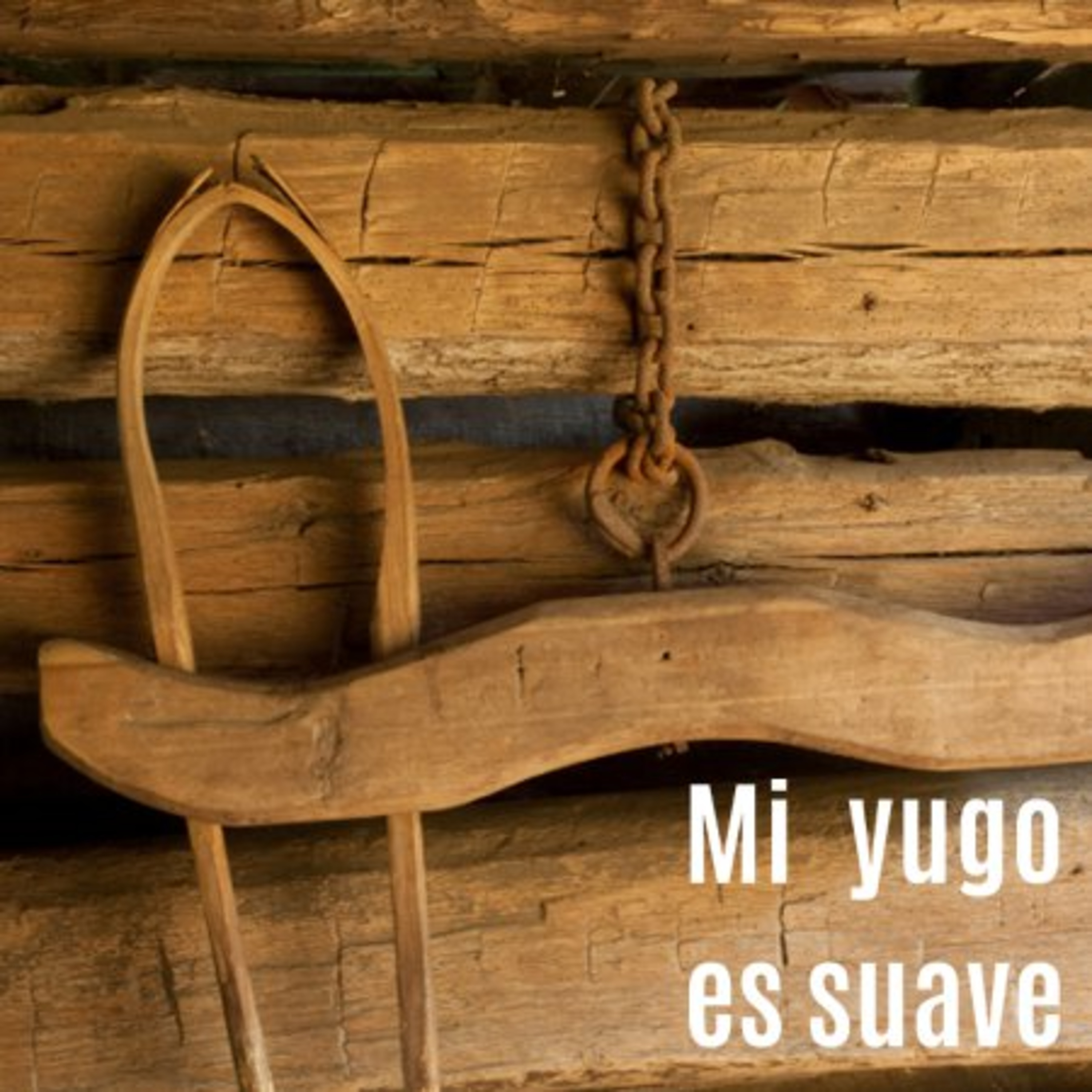 Portada de Sillón Bíblico