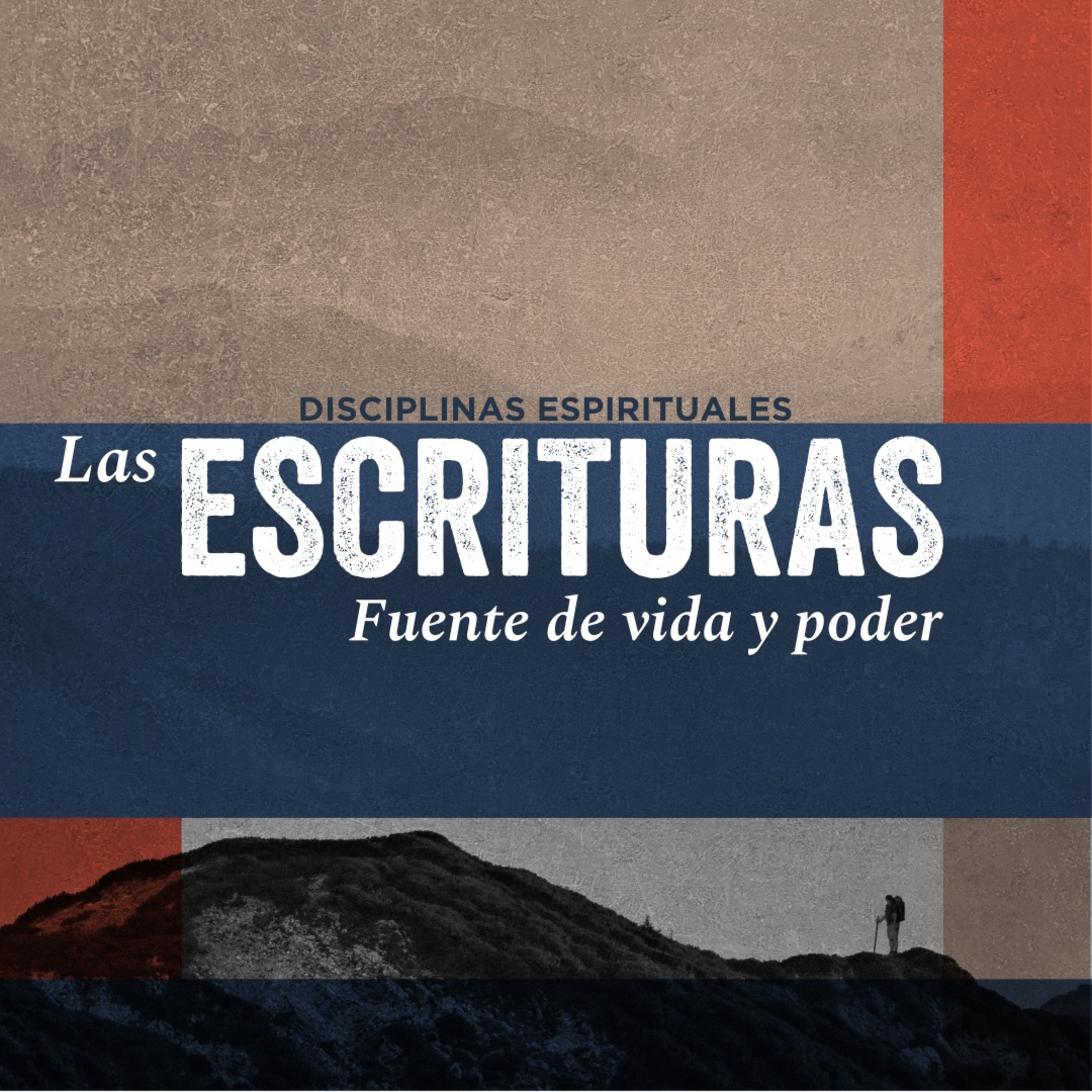 Portada de Cántico Nuevo : Comunidad Cristiana