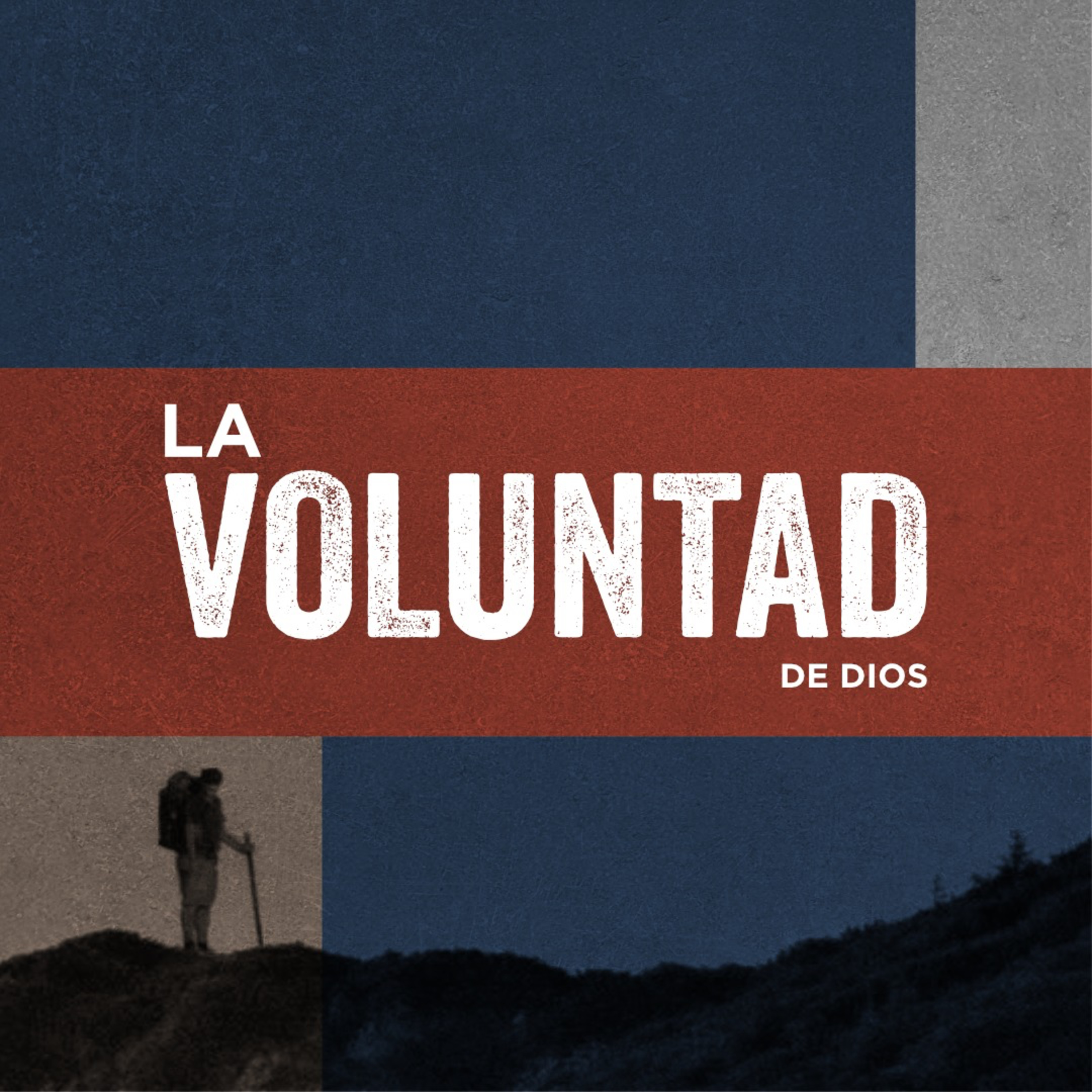 Portada de Cántico Nuevo : Comunidad Cristiana