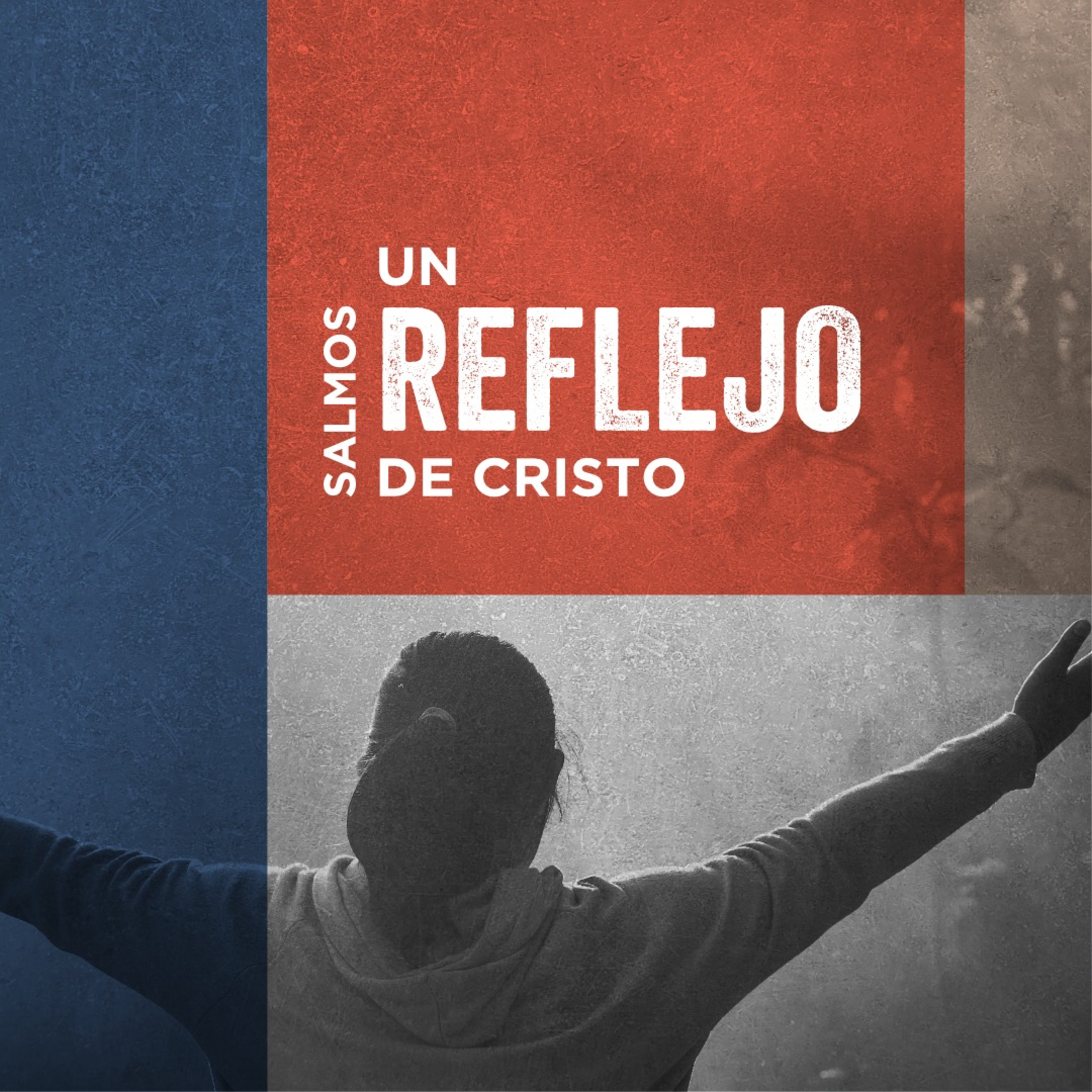 Portada de Cántico Nuevo : Comunidad Cristiana