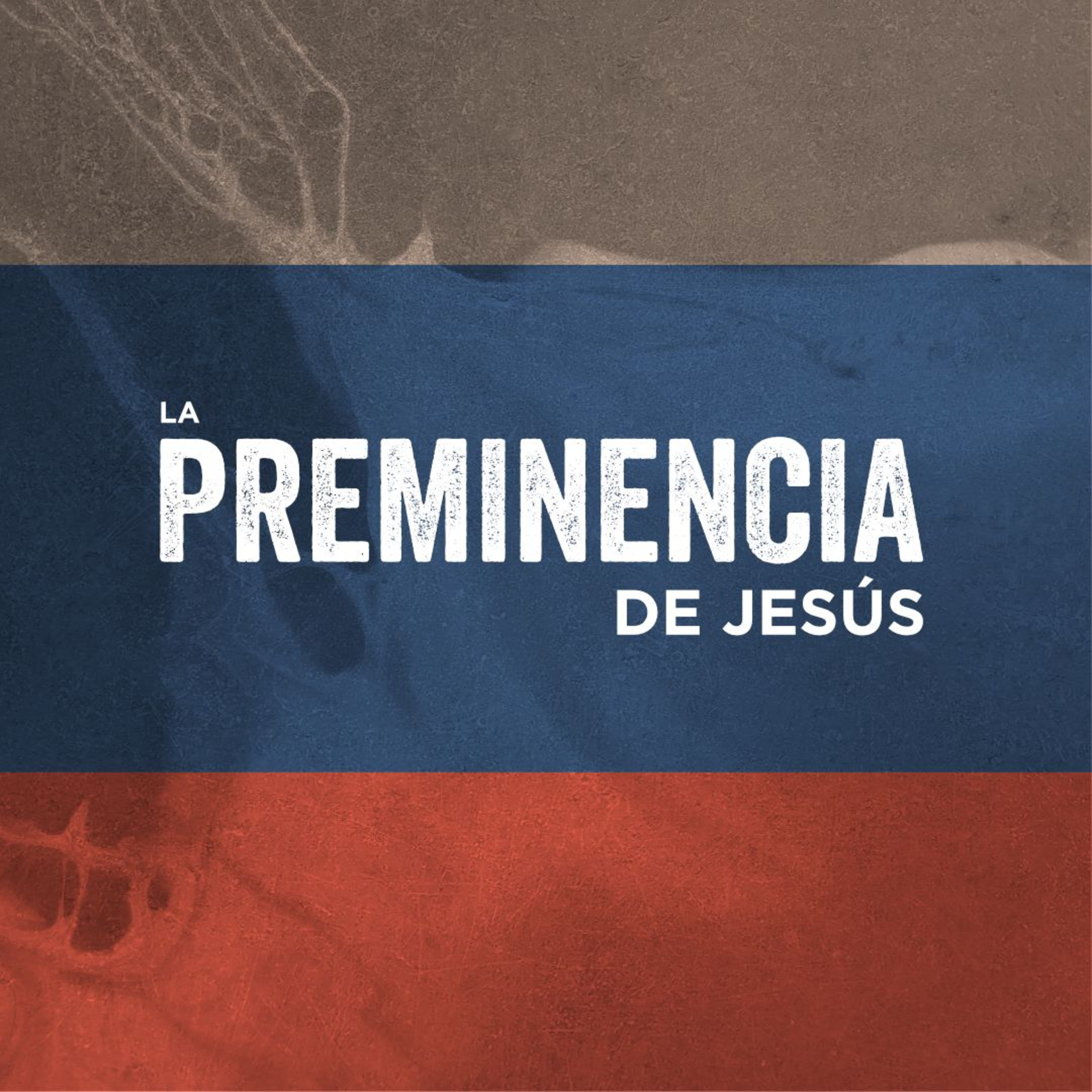 Portada de Cántico Nuevo : Comunidad Cristiana
