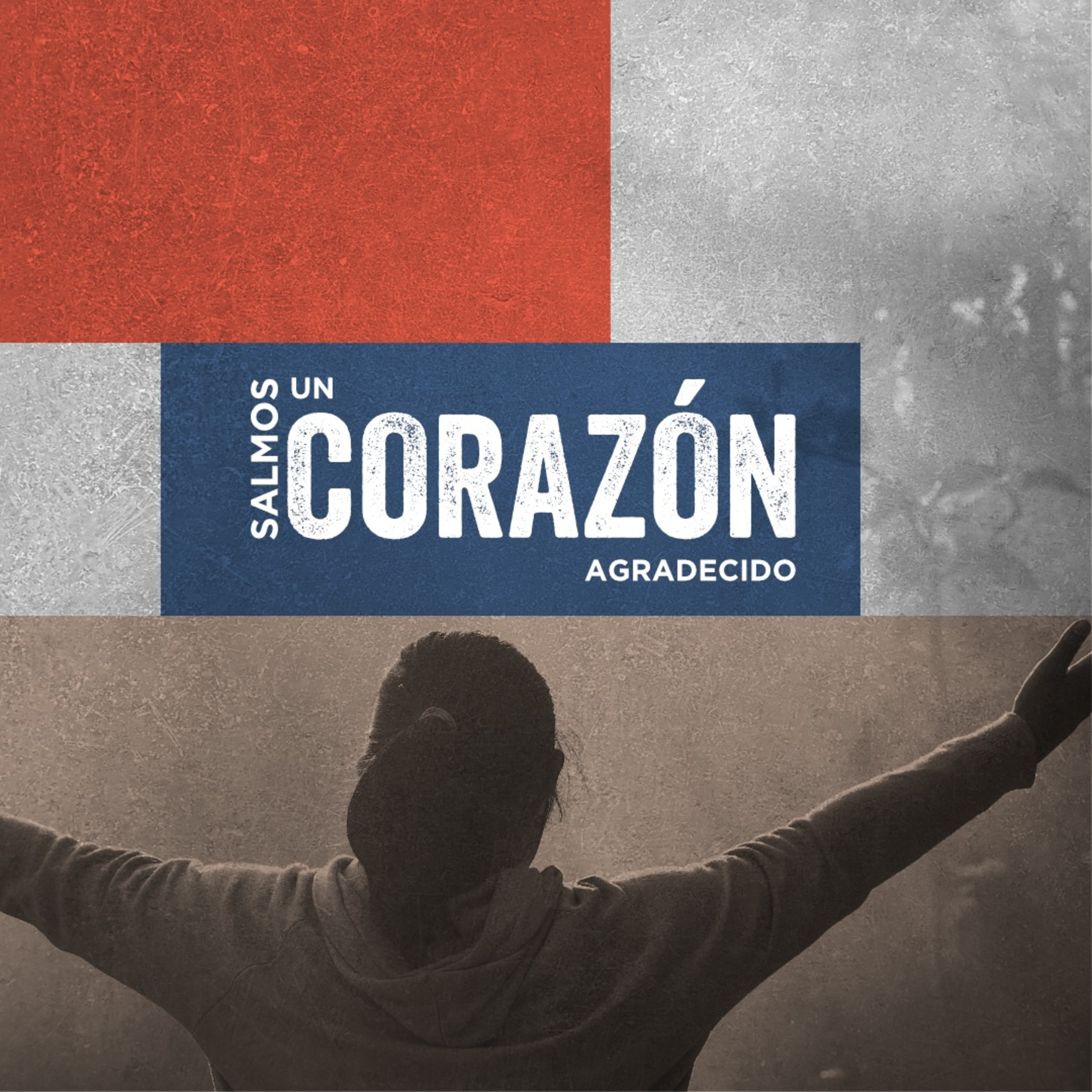 Portada de Cántico Nuevo : Comunidad Cristiana