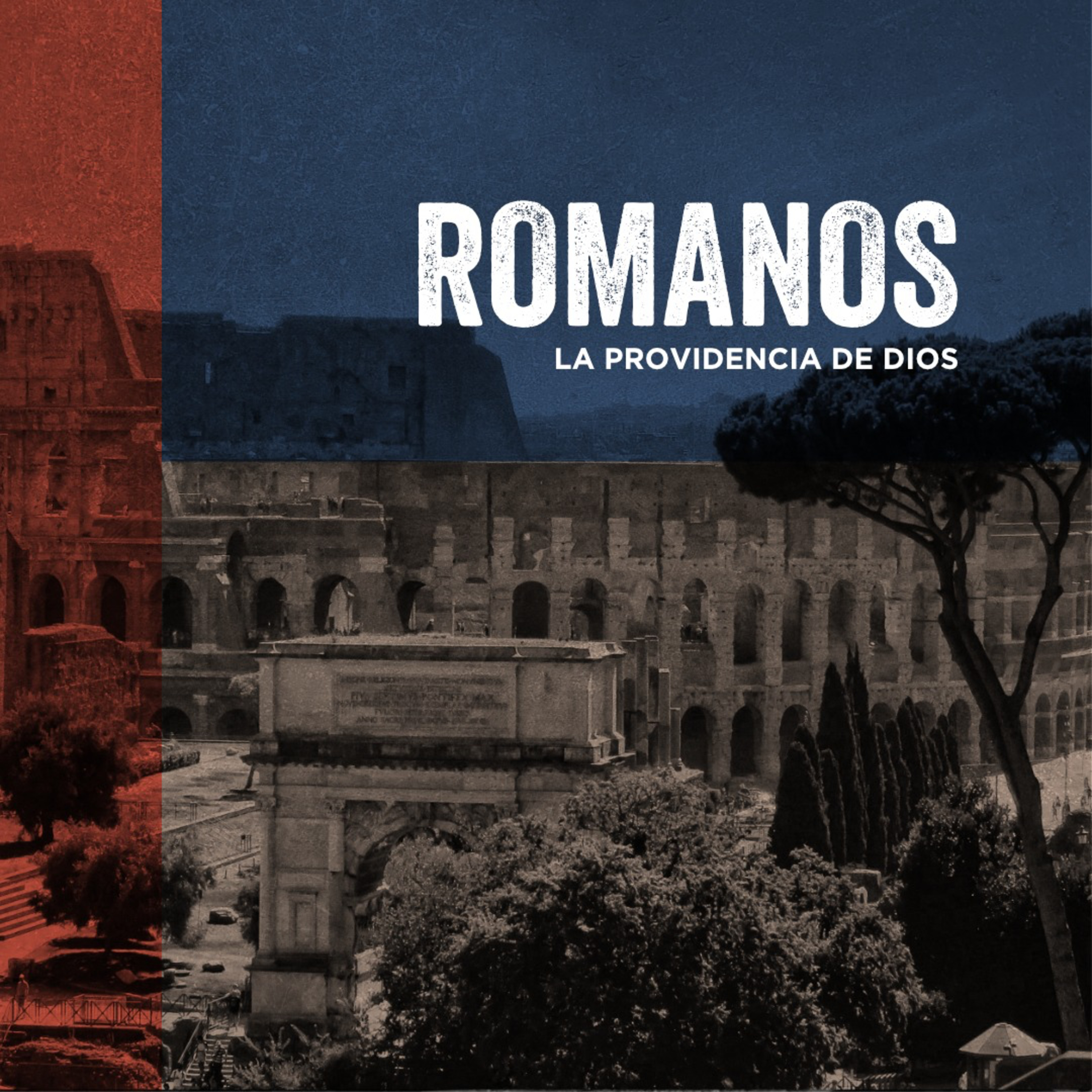 Portada de Cántico Nuevo : Comunidad Cristiana