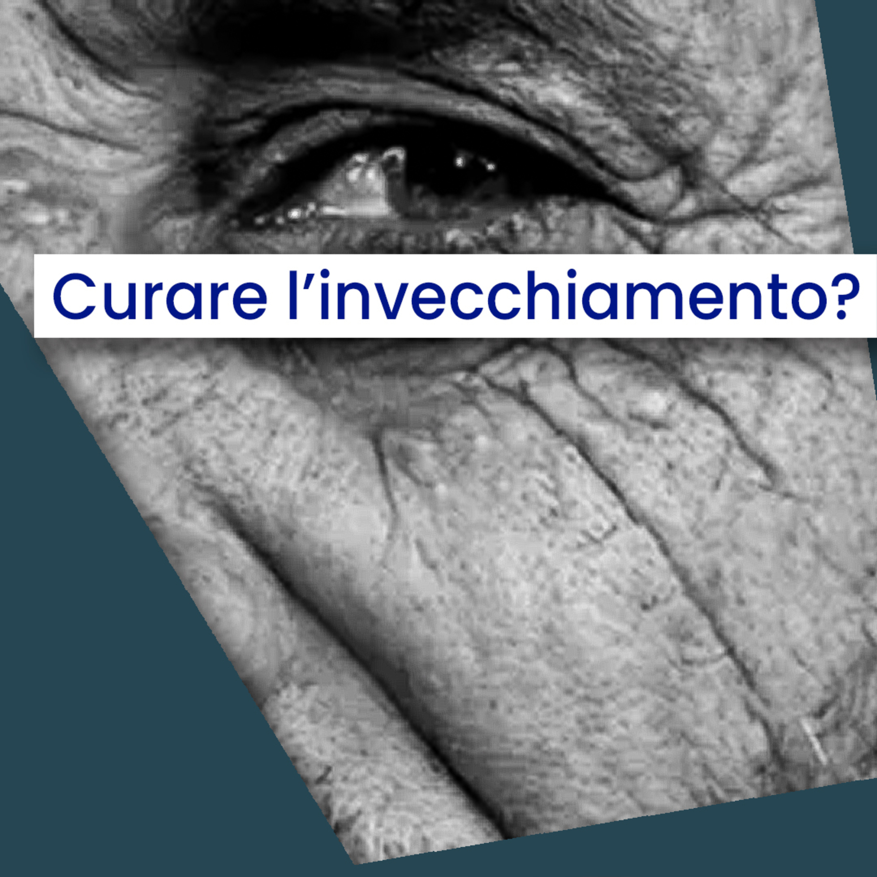 I dialoghi di Fondazione Bassetti