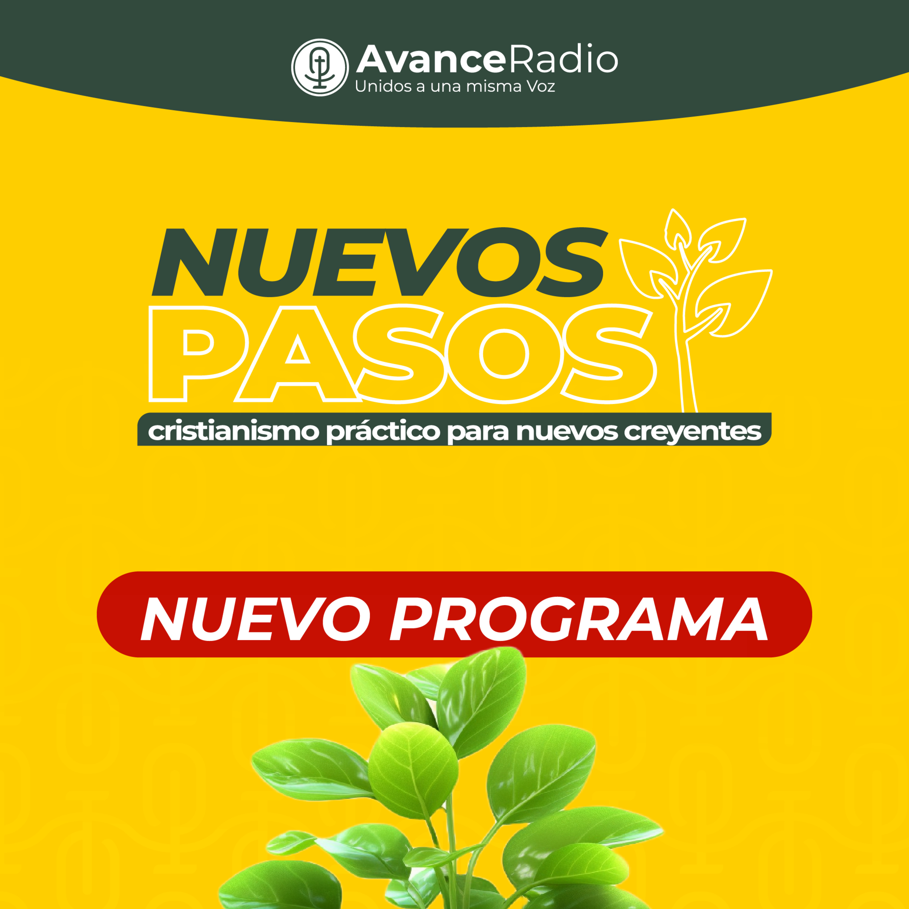 NUEVOS PASOS T1 E1 | ¿Quién soy en Cristo? episode artwork