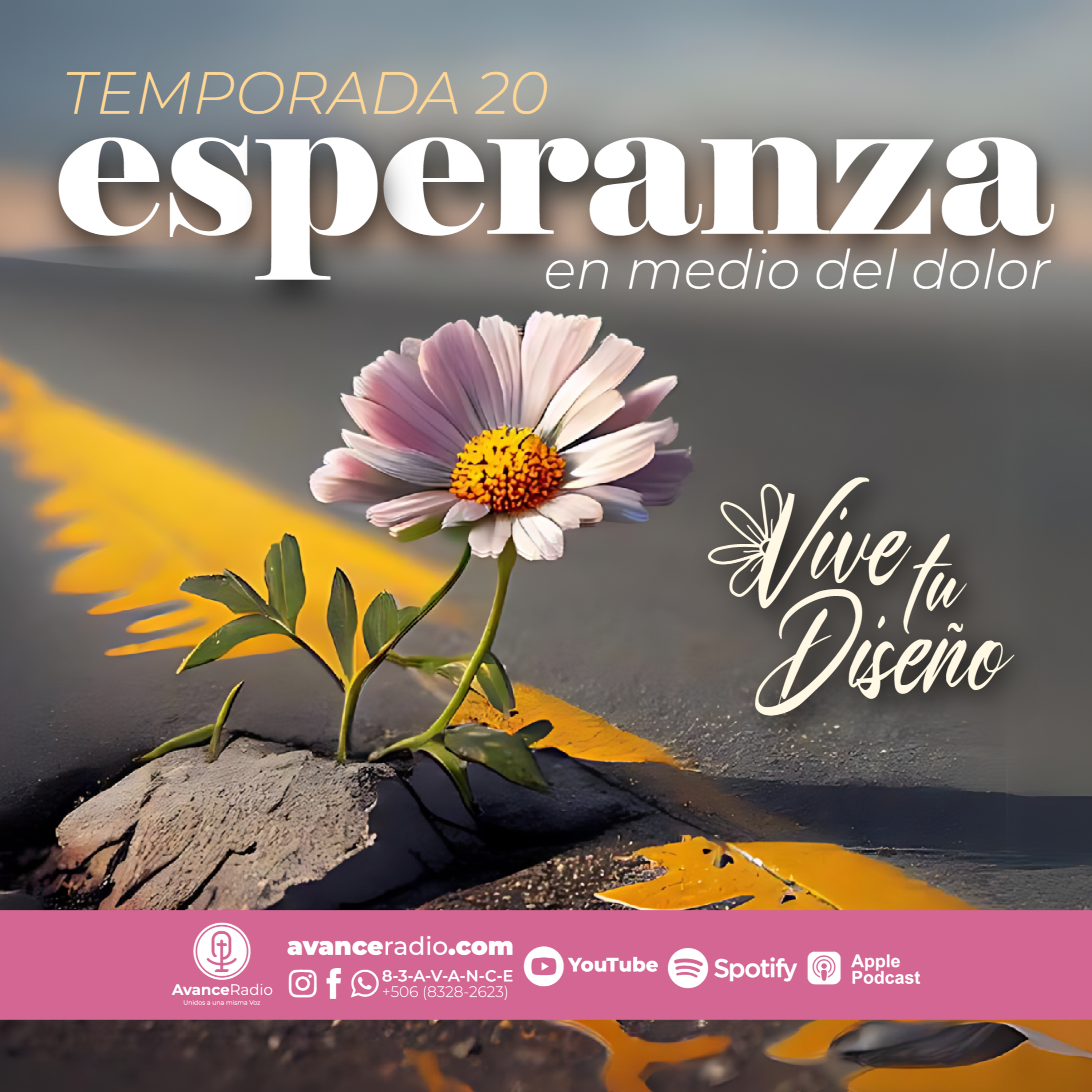VIVE TU DISEÑO T20 E3 - ESPERANZA EN MEDIO DEL DOLOR episode artwork