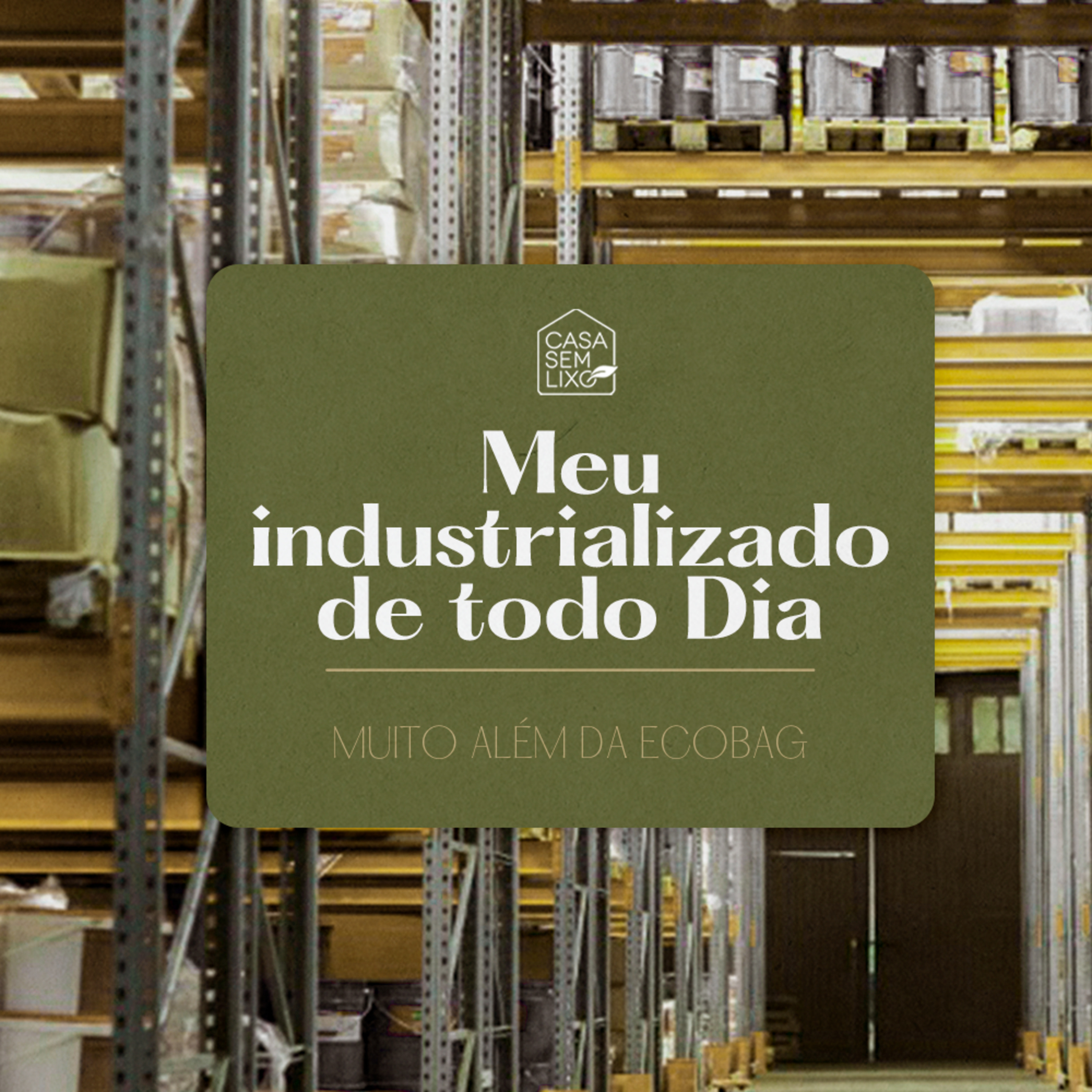 Muito Além da Ecobag