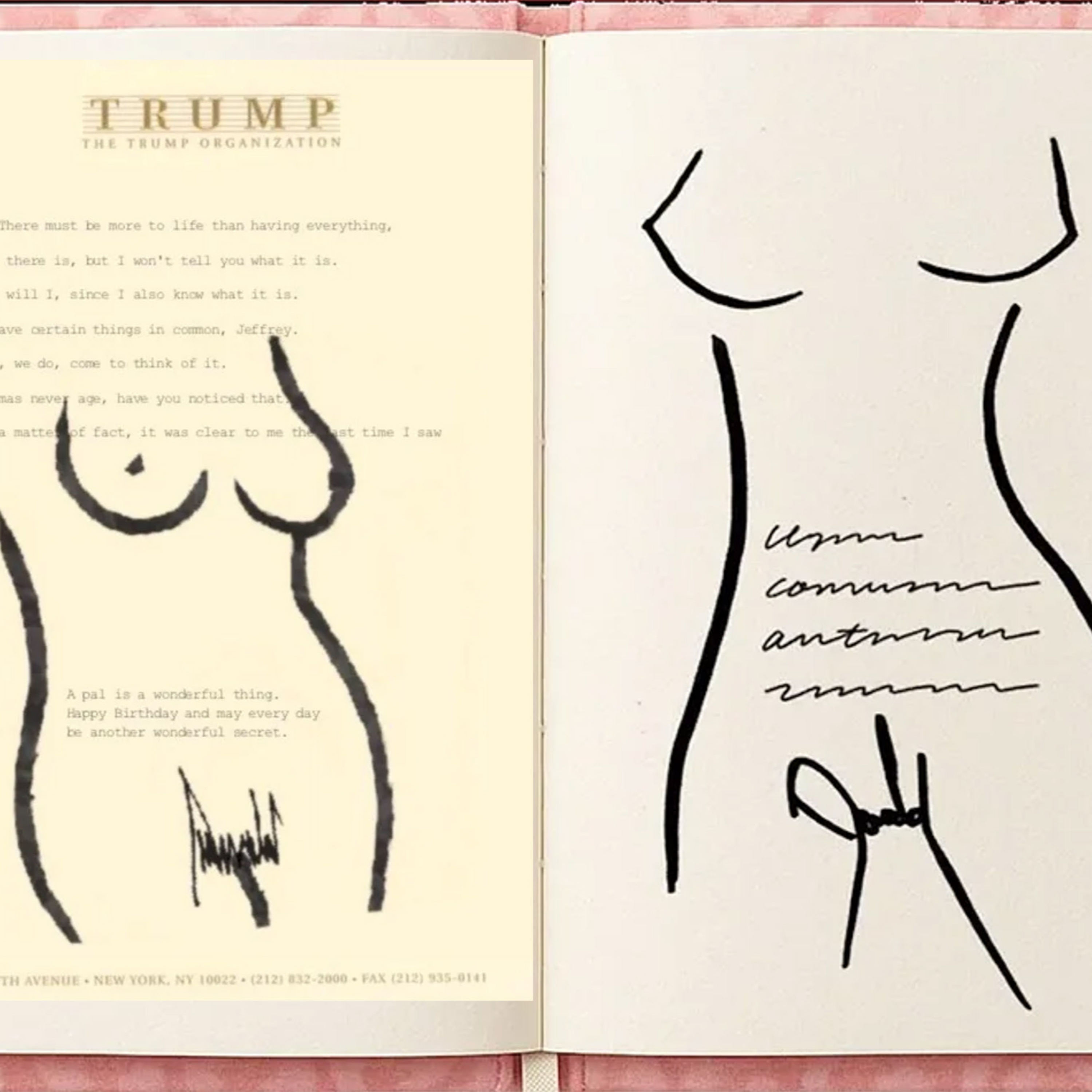Trump e Jeffrey Epstein: Revelações e segredos que Trump não quer que você veja! episode artwork