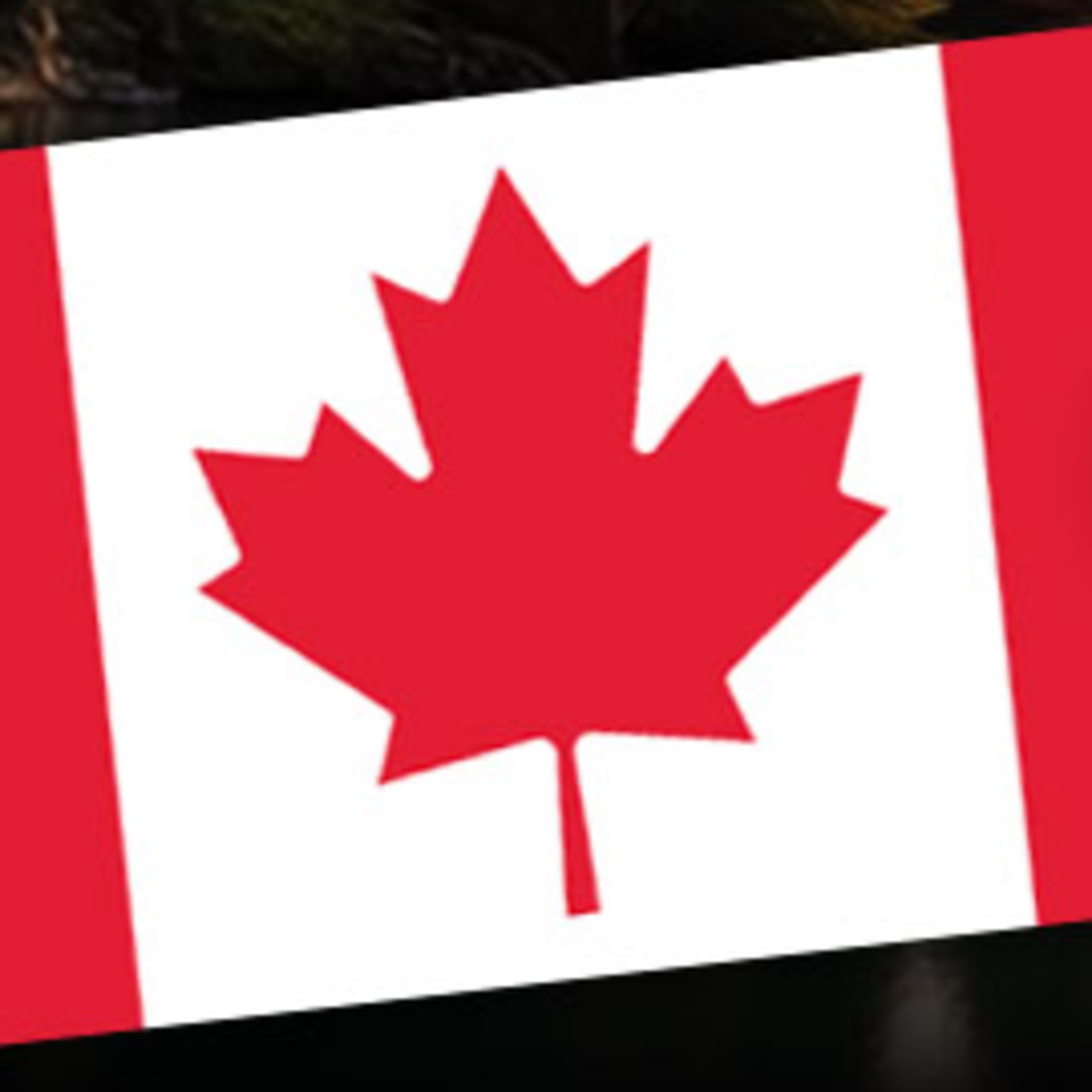 Como morar no Canadá? Veja aqui as PROFISSÕES QUE QUALIFICAM e NOVAS REGRAS de imigração 2025  episode artwork