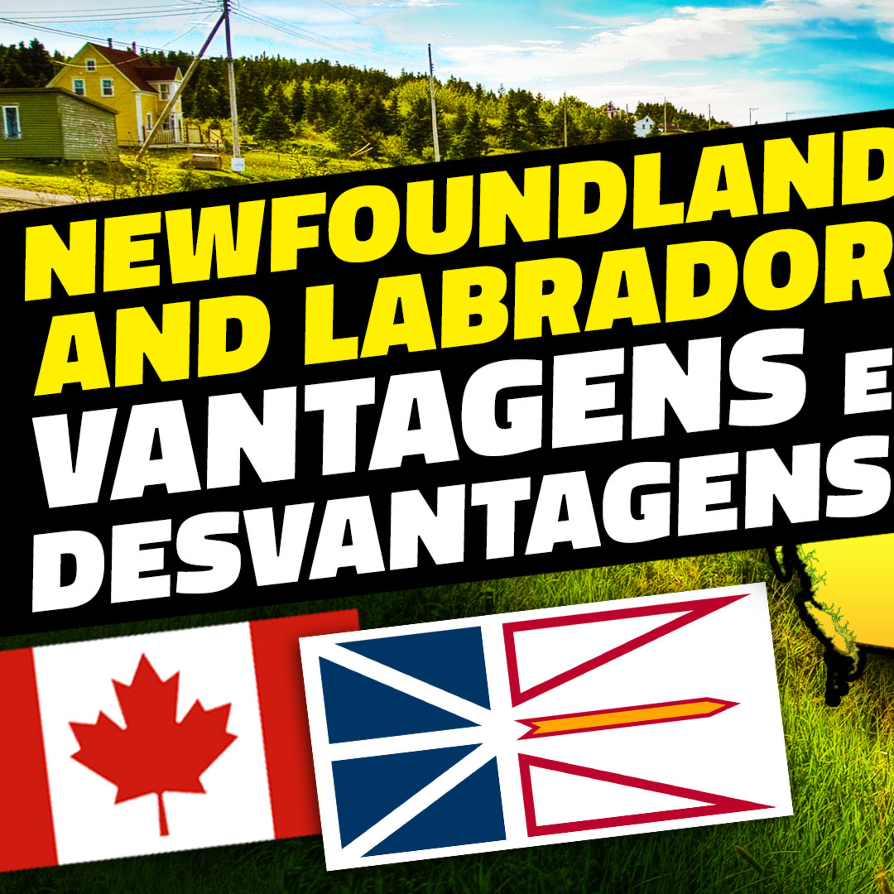 Newfoundland and Labrador: Prós e Contras de Morar na Província Canadense Mais Oriental episode artwork