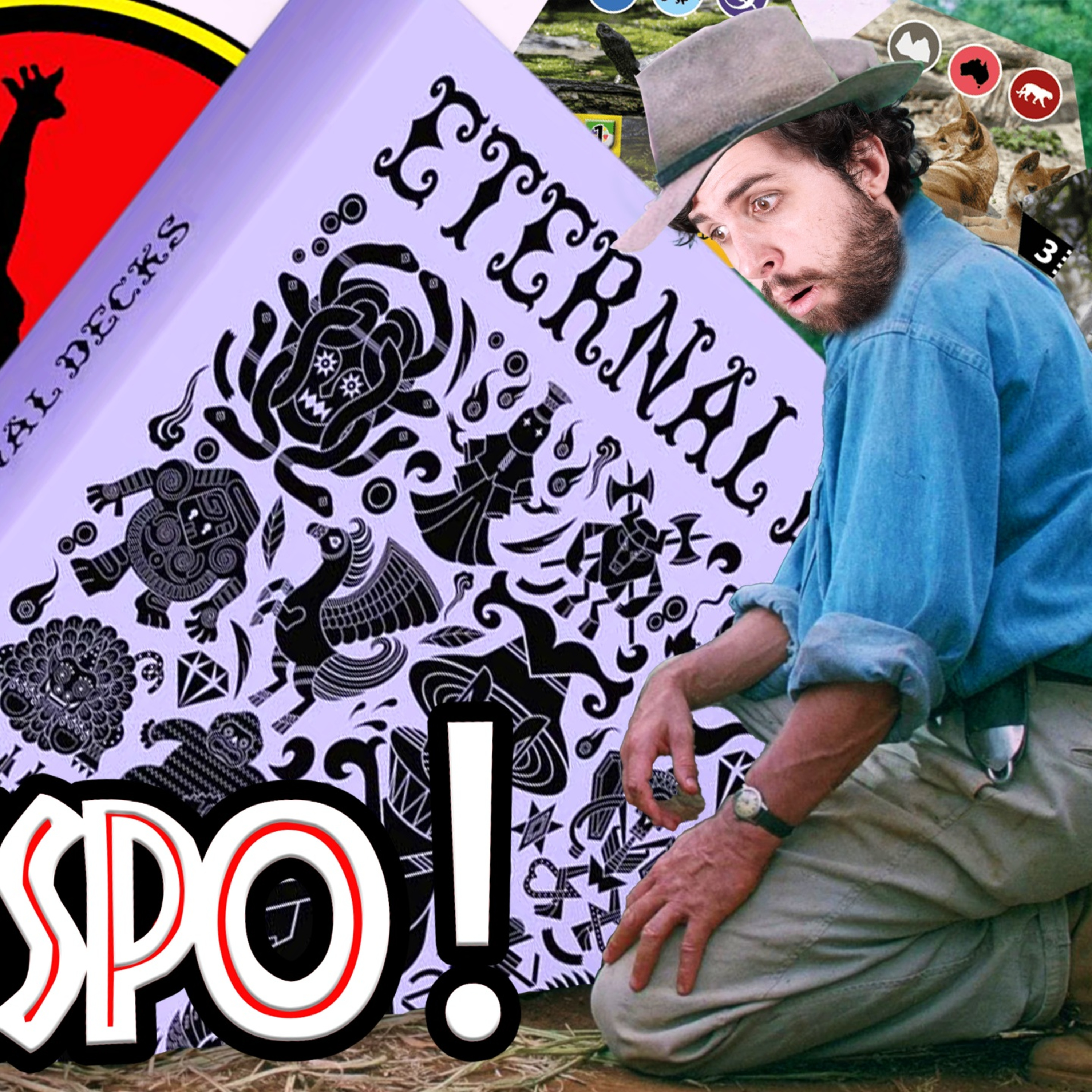 C'EST DISPO! Eternal Decks, Sanctuary, Map Masters, Le Hobbit, Happy Letters, Everdell Duo