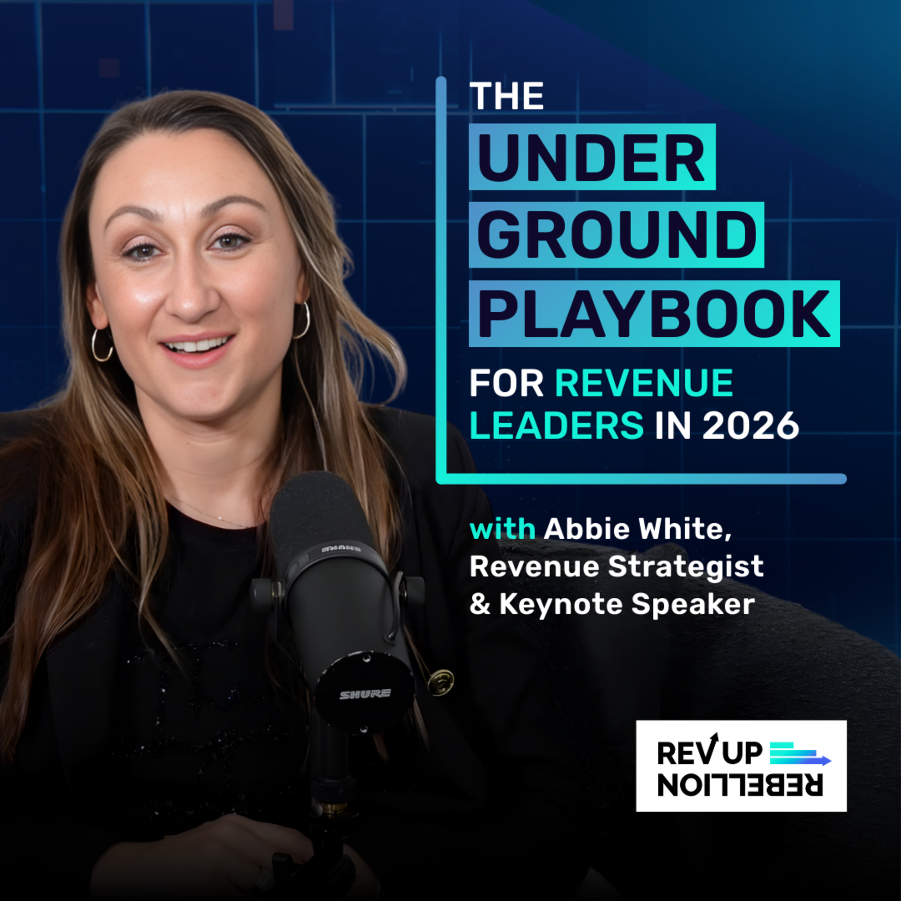 The Underground Playbook For Revenue Leaders in 2026 episode artwork
