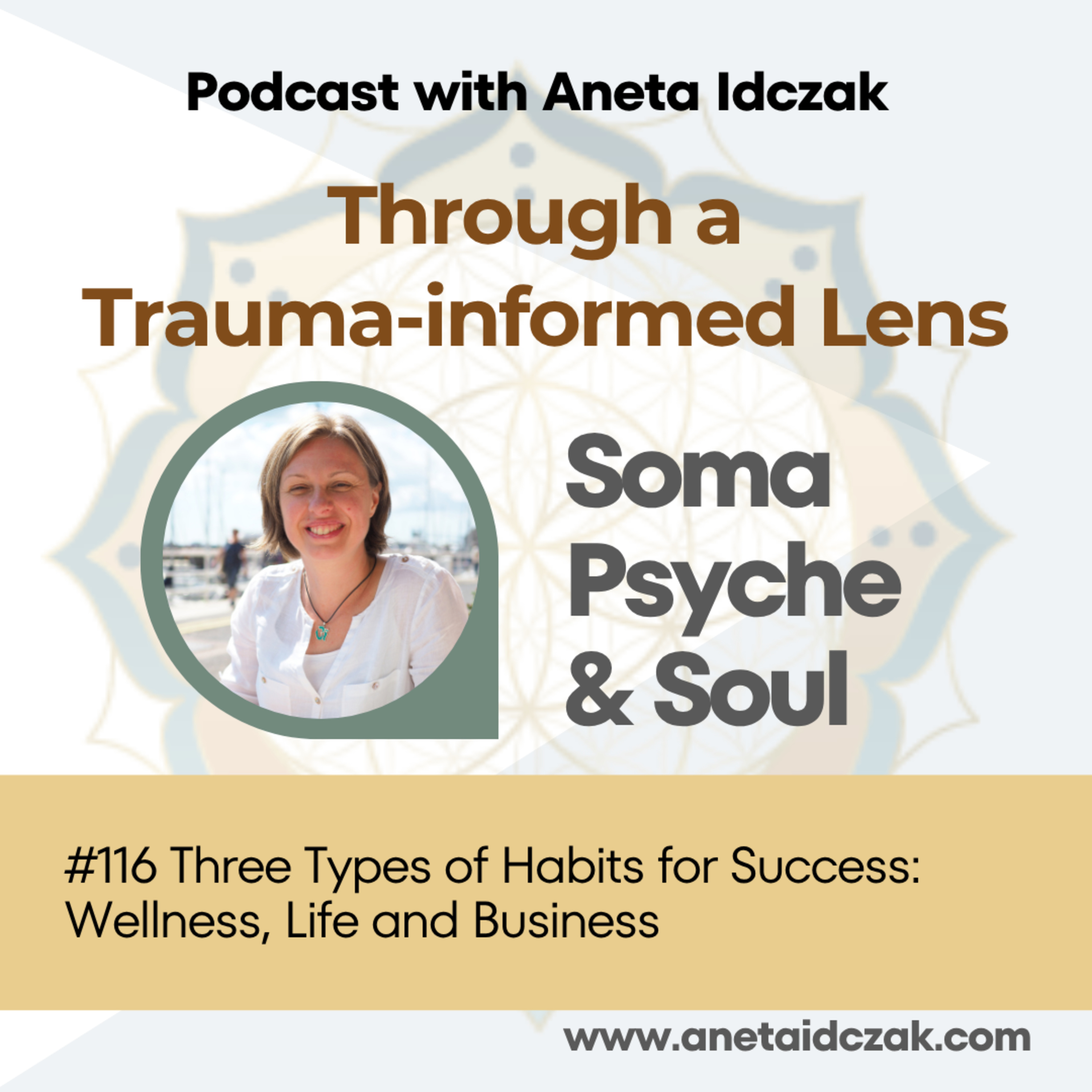 E116: Three Types of Habits for Success: Wellness, Life and Business episode artwork