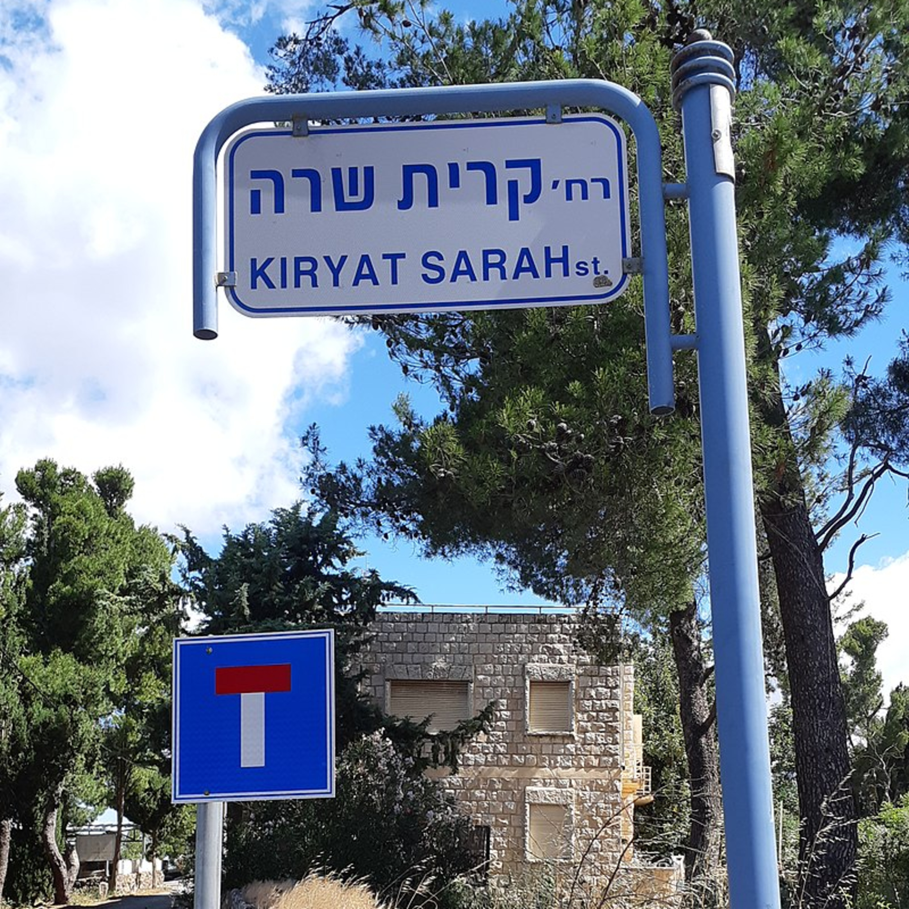 שרה לוי אדלר  episode artwork