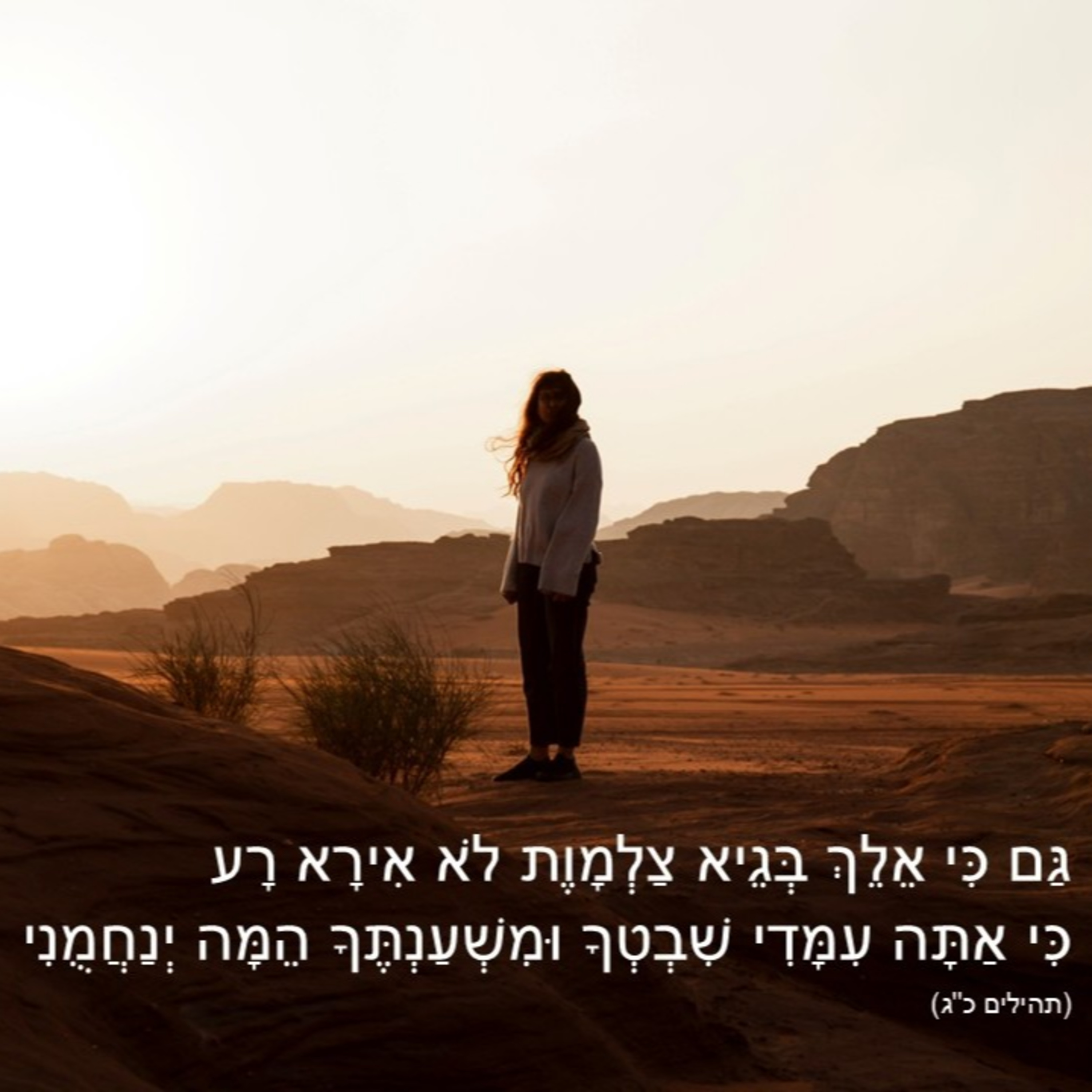 כח ההודיה episode artwork