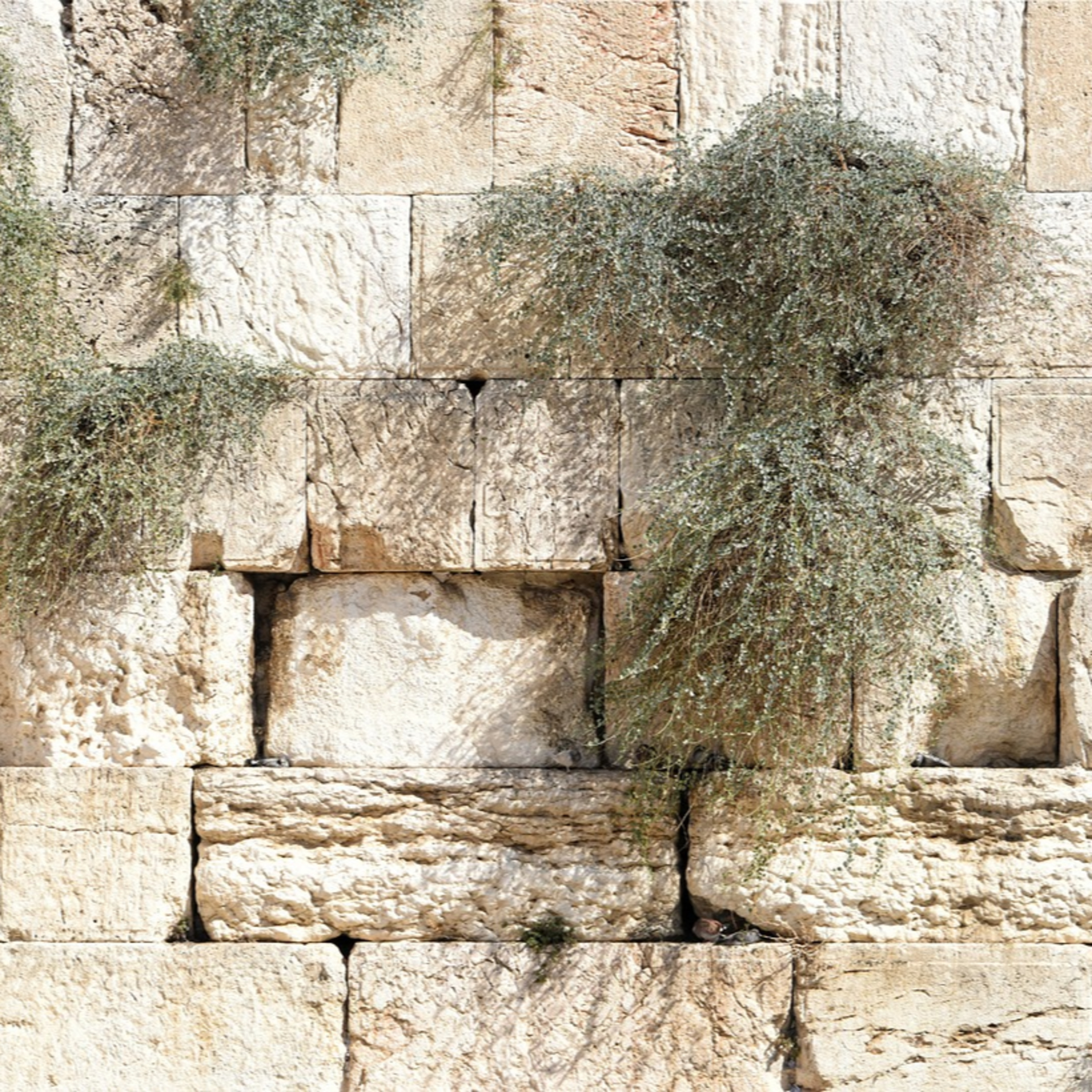 למה צמים בי"ז בתמוז episode artwork