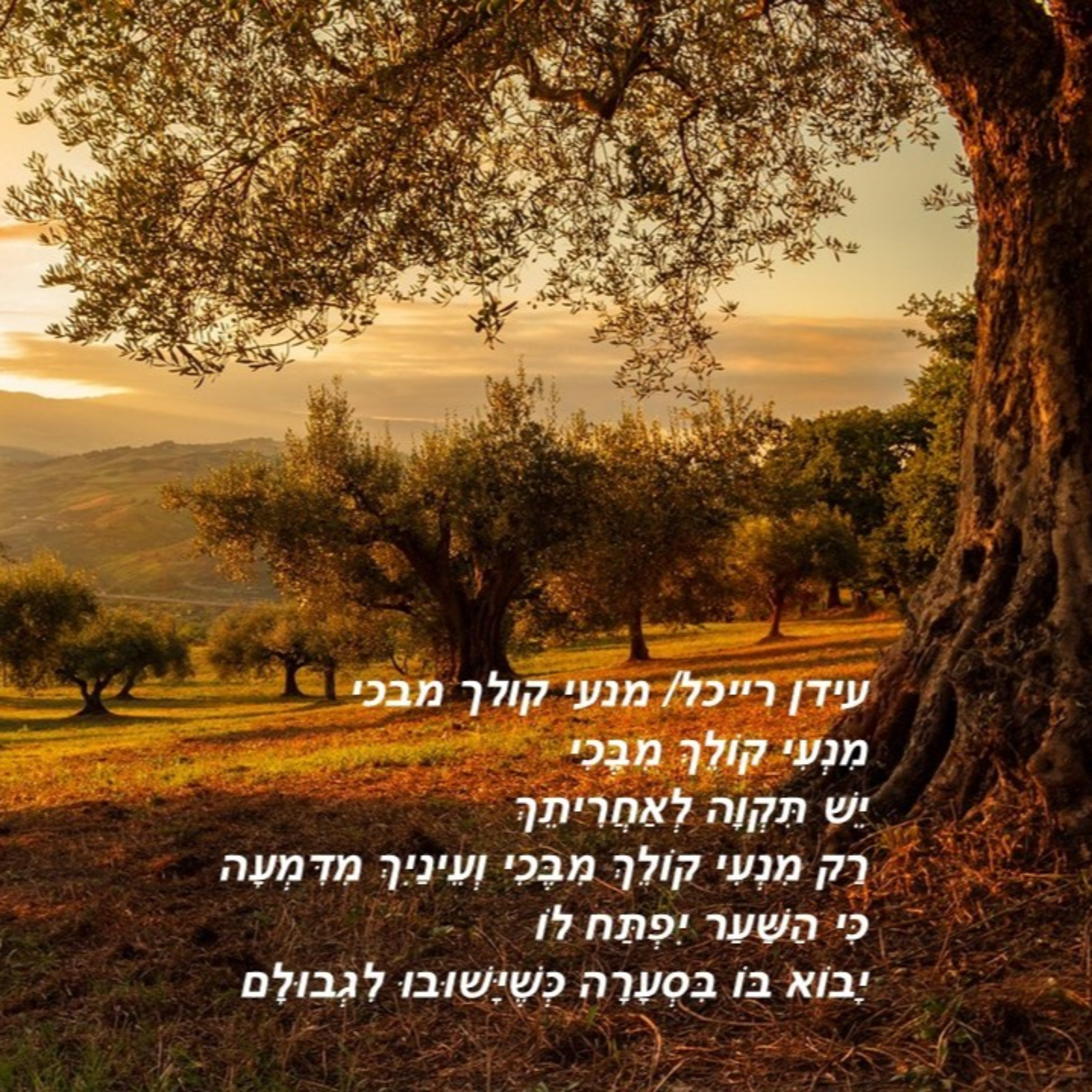 ושבו בנים לגבולם episode artwork