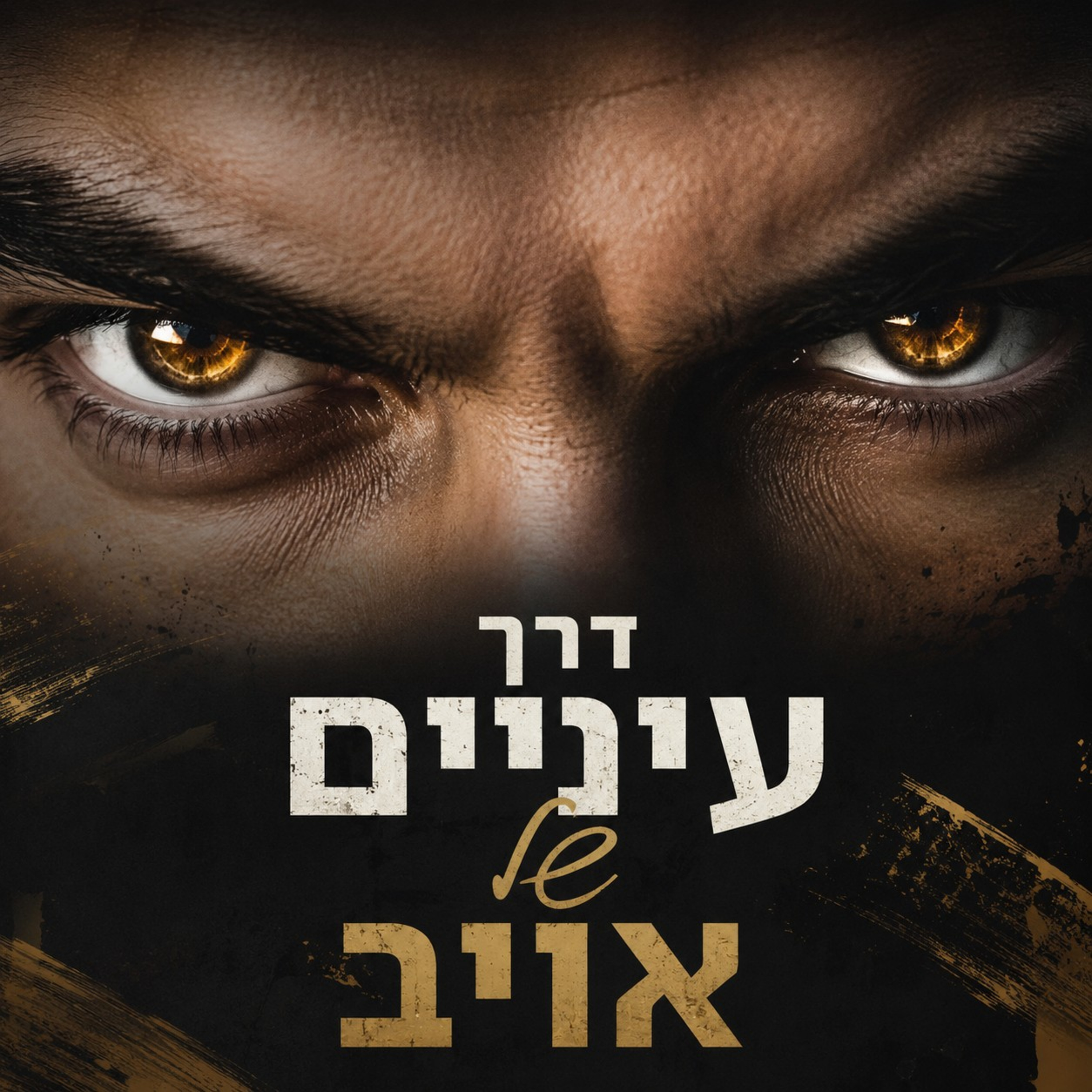 דרך עיני האויב episode artwork