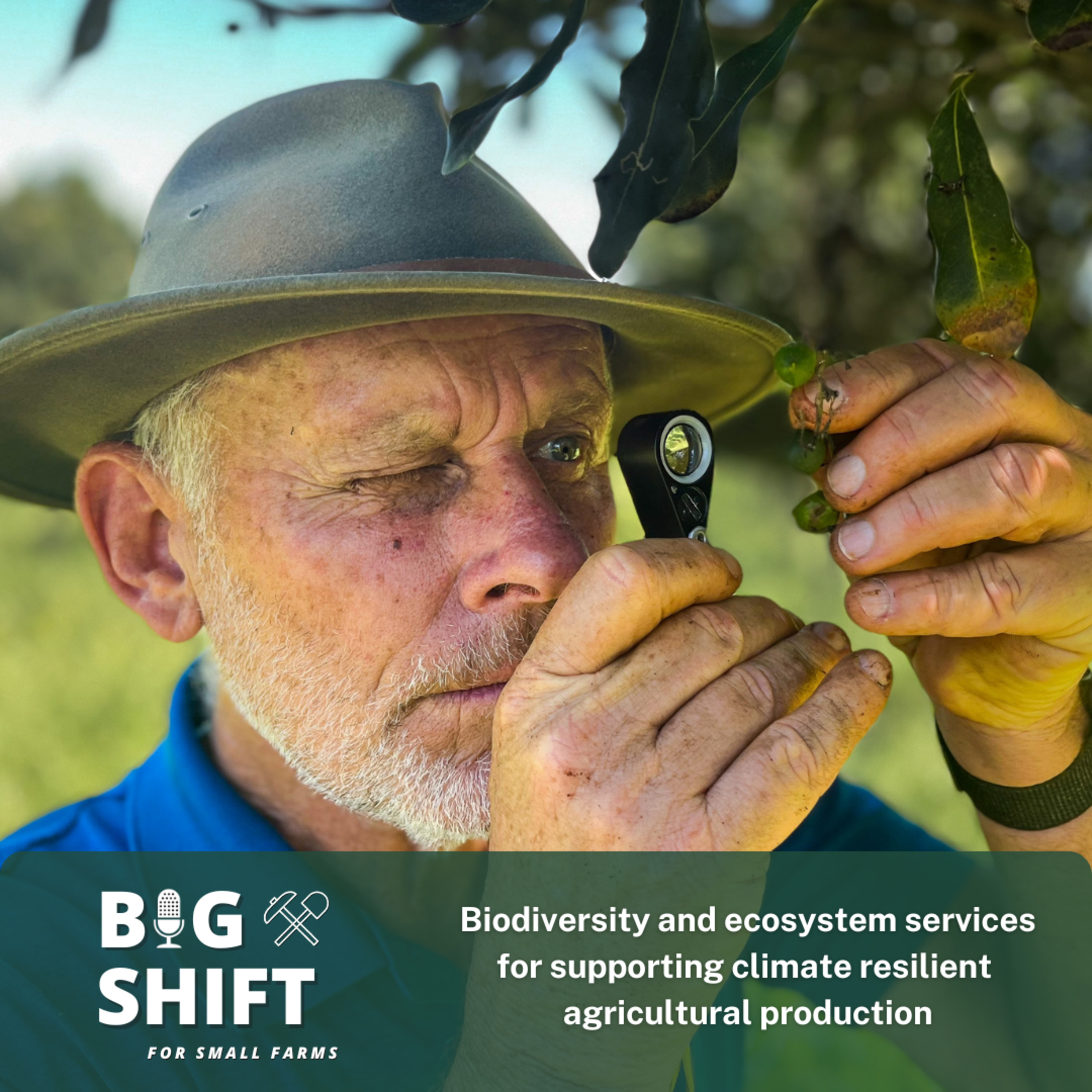 Big Shift For Small Farms