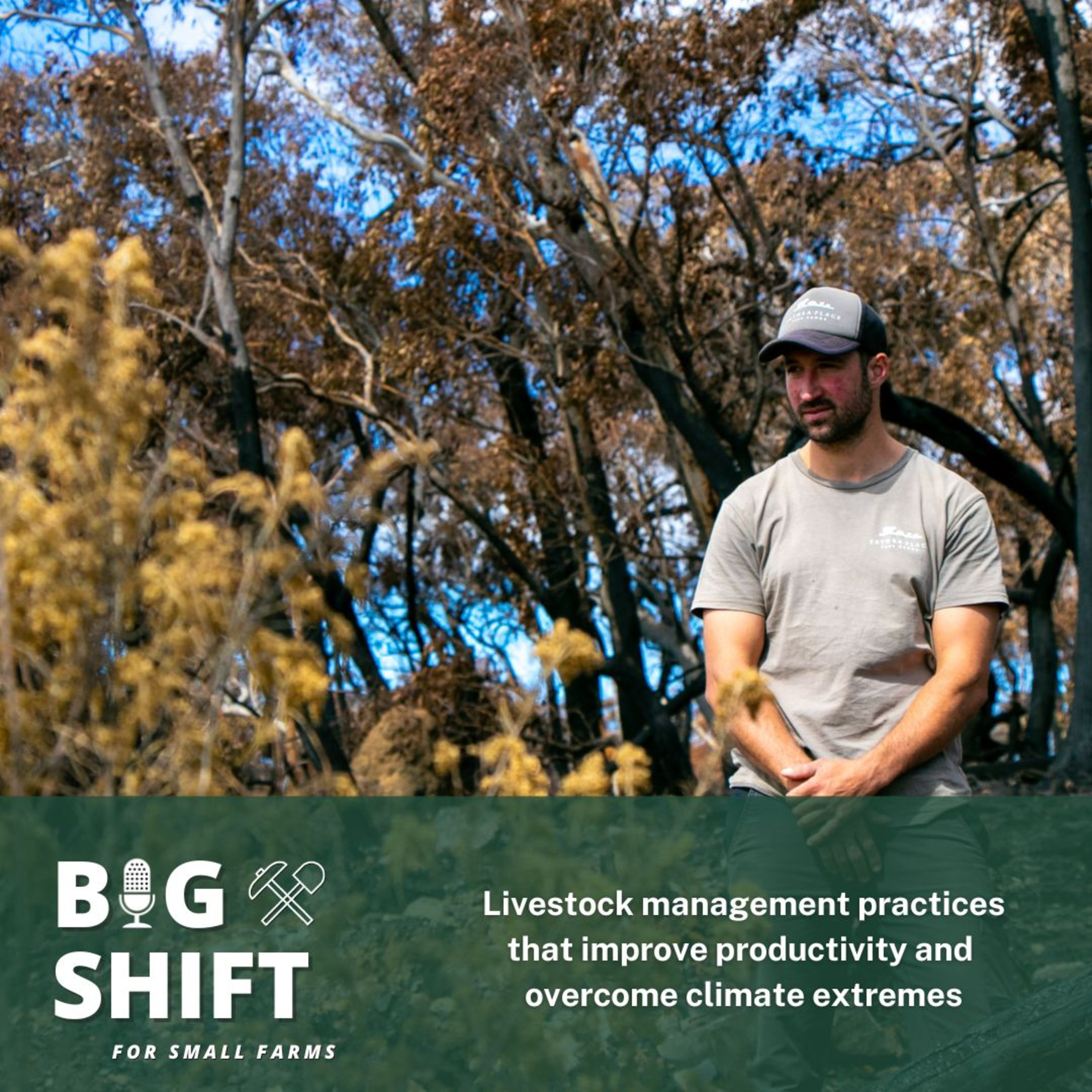 Big Shift For Small Farms