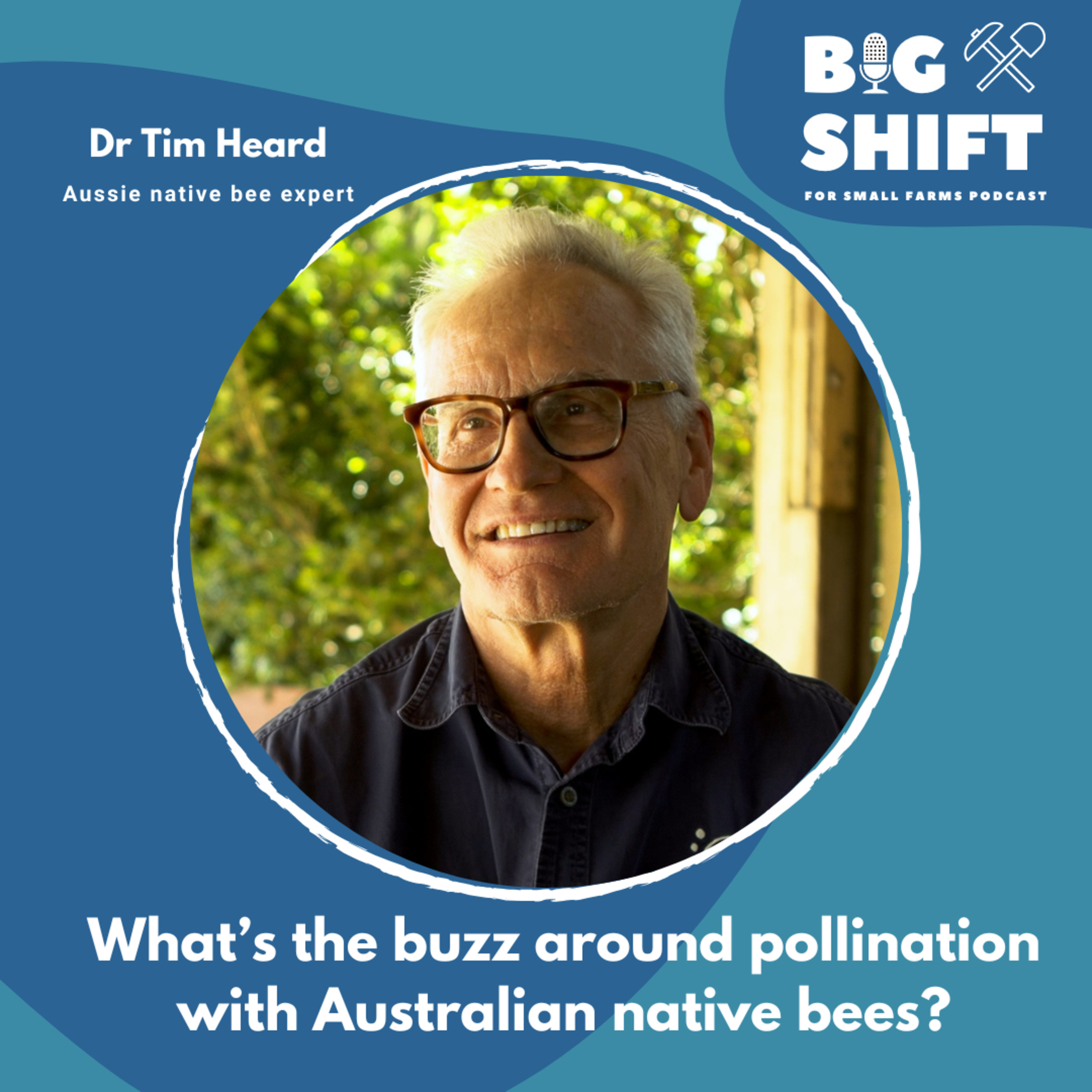 What' s the buzz around pollination with Australian native bees?