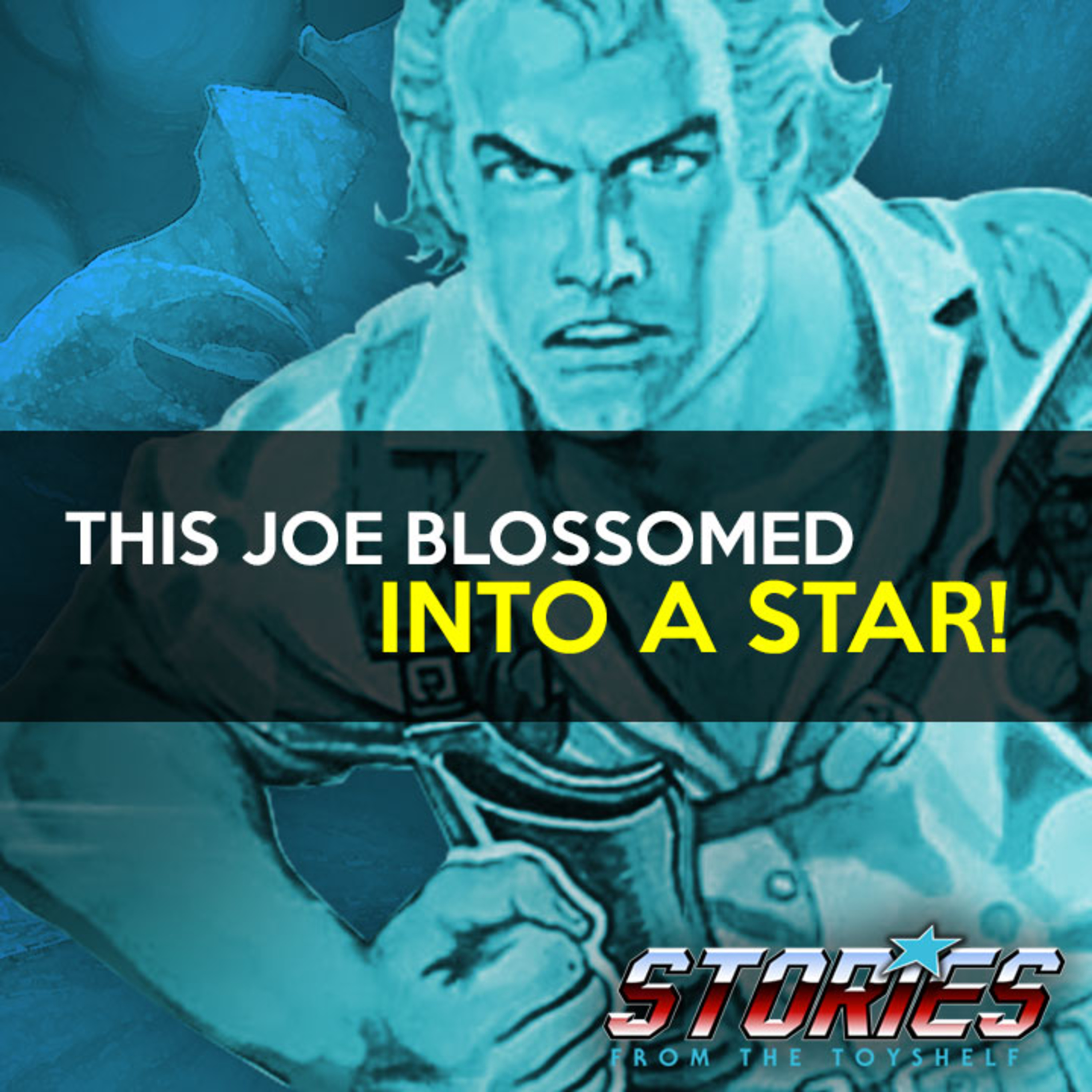 Stories From The Toyshelf