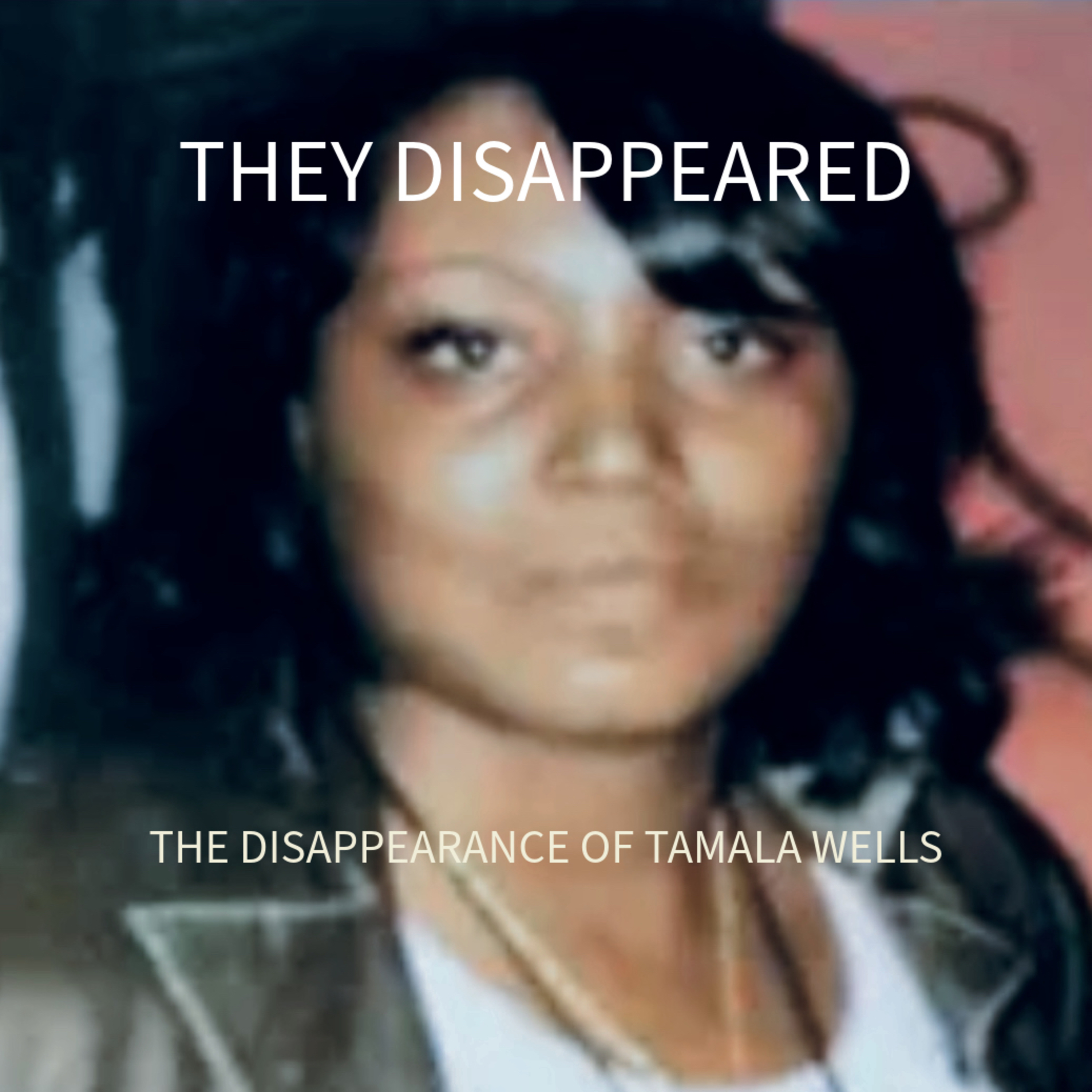 THEY DISAPPEARED