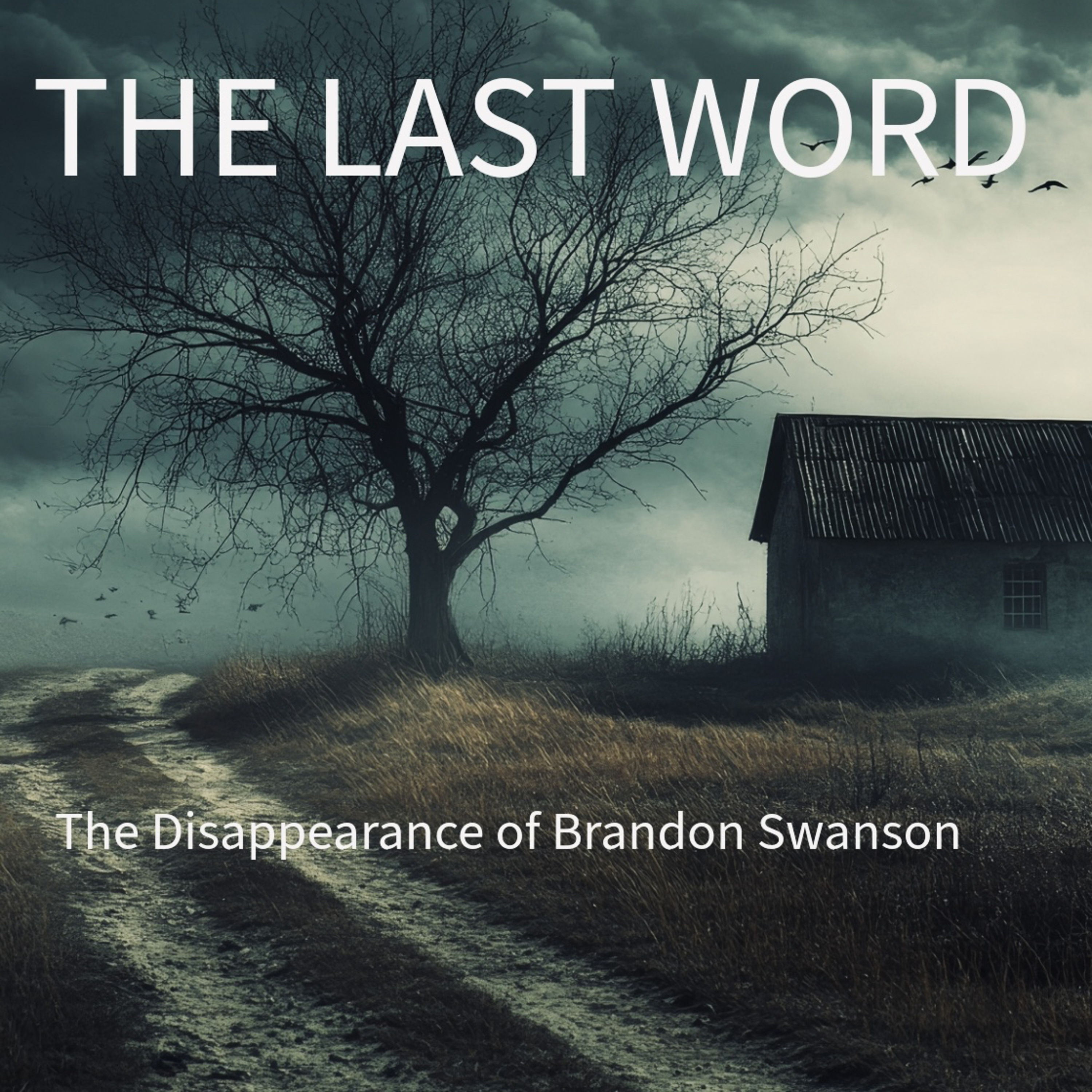The Last Word… The Disappearance of Brandon Swanson