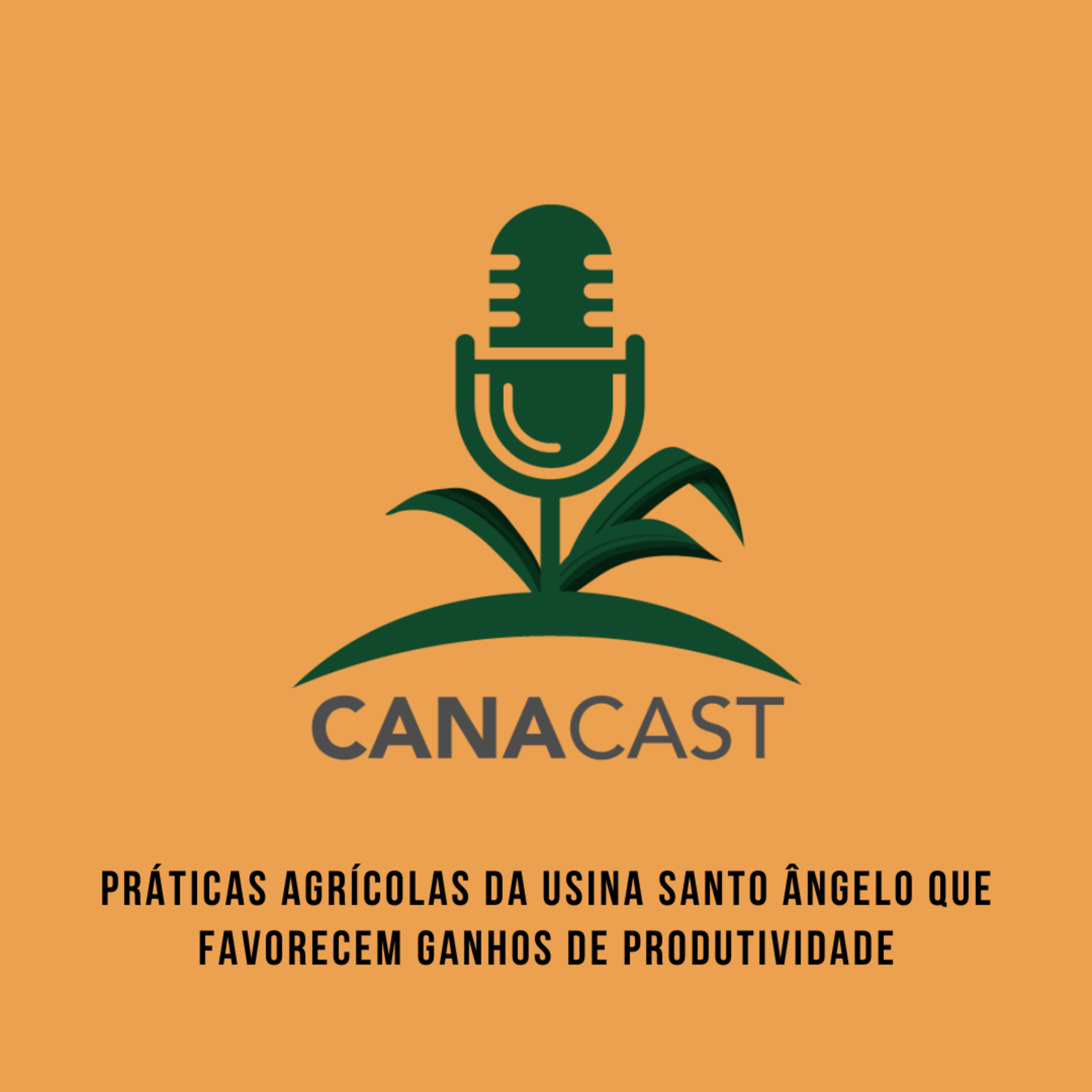 PRÁTICAS AGRÍCOLAS DA USINA SANTO ÂNGELO QUE FAVORECEM GANHOS DE PRODUTIVIDADE episode artwork