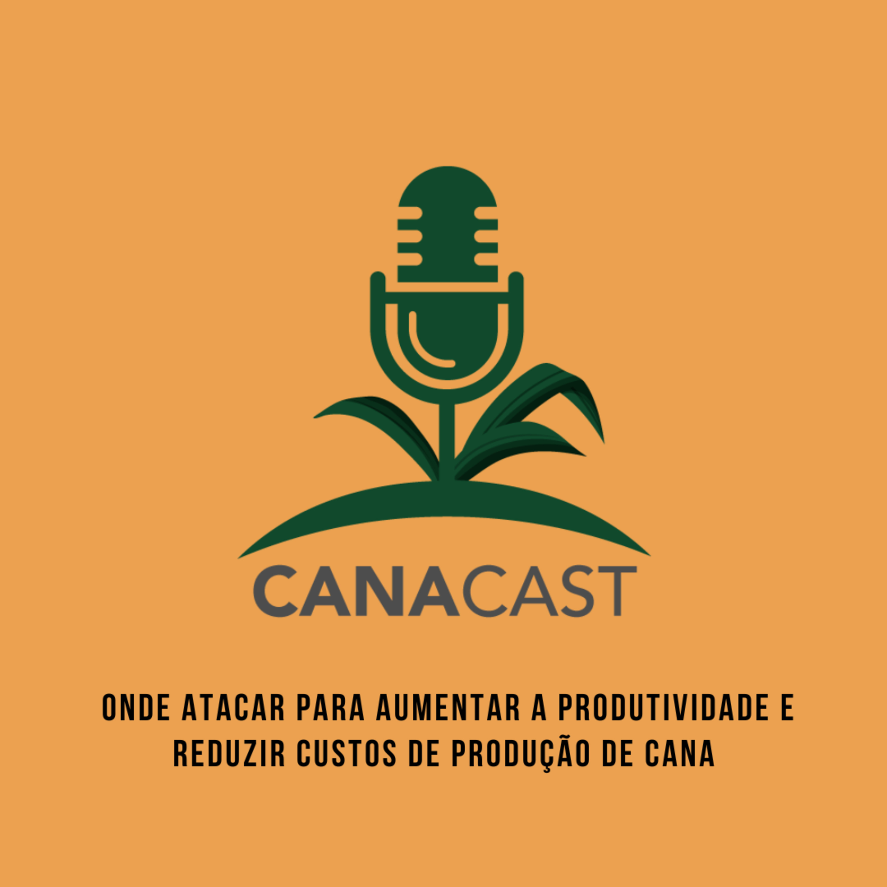  ONDE ATACAR PARA AUMENTAR A PRODUTIVIDADE E REDUZIR CUSTOS DE PRODUÇÃO DE CANA episode artwork