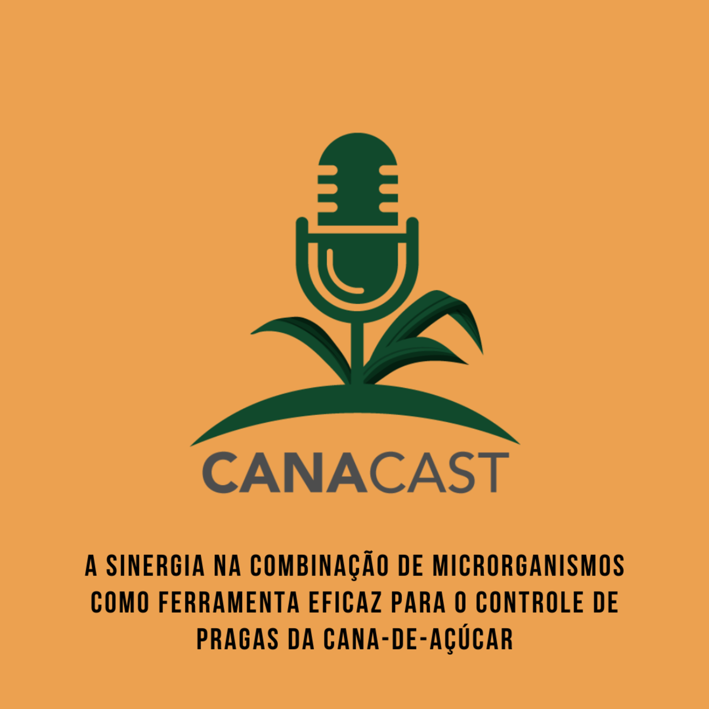A SINERGIA NA COMBINAÇÃO DE MICRORGANISMOS COMO FERRAMENTA EFICAZ PARA O CONTROLE DE PRAGAS DA CANA-DE-AÇÚCAR episode artwork