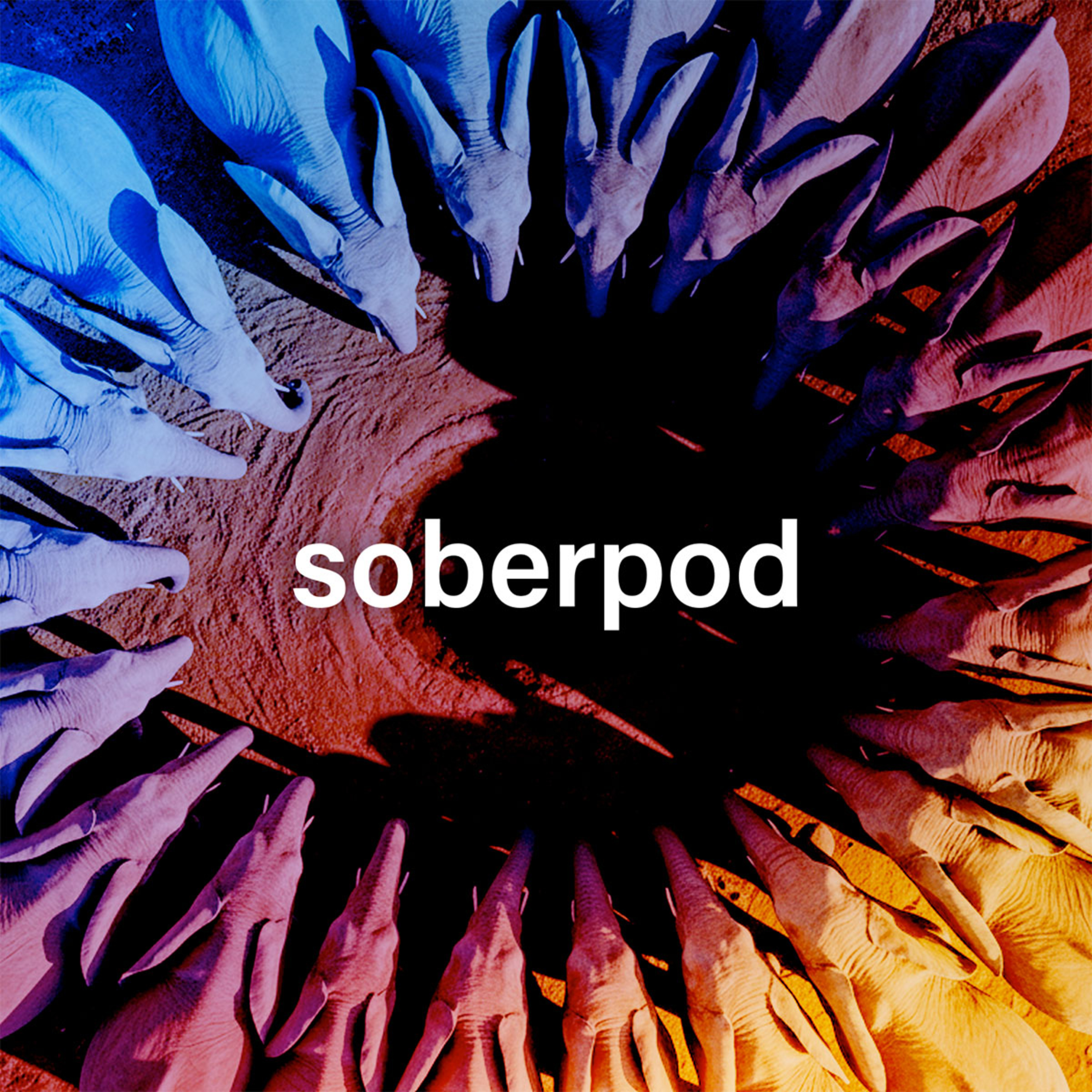 Sober Pod - Recovery Podcast