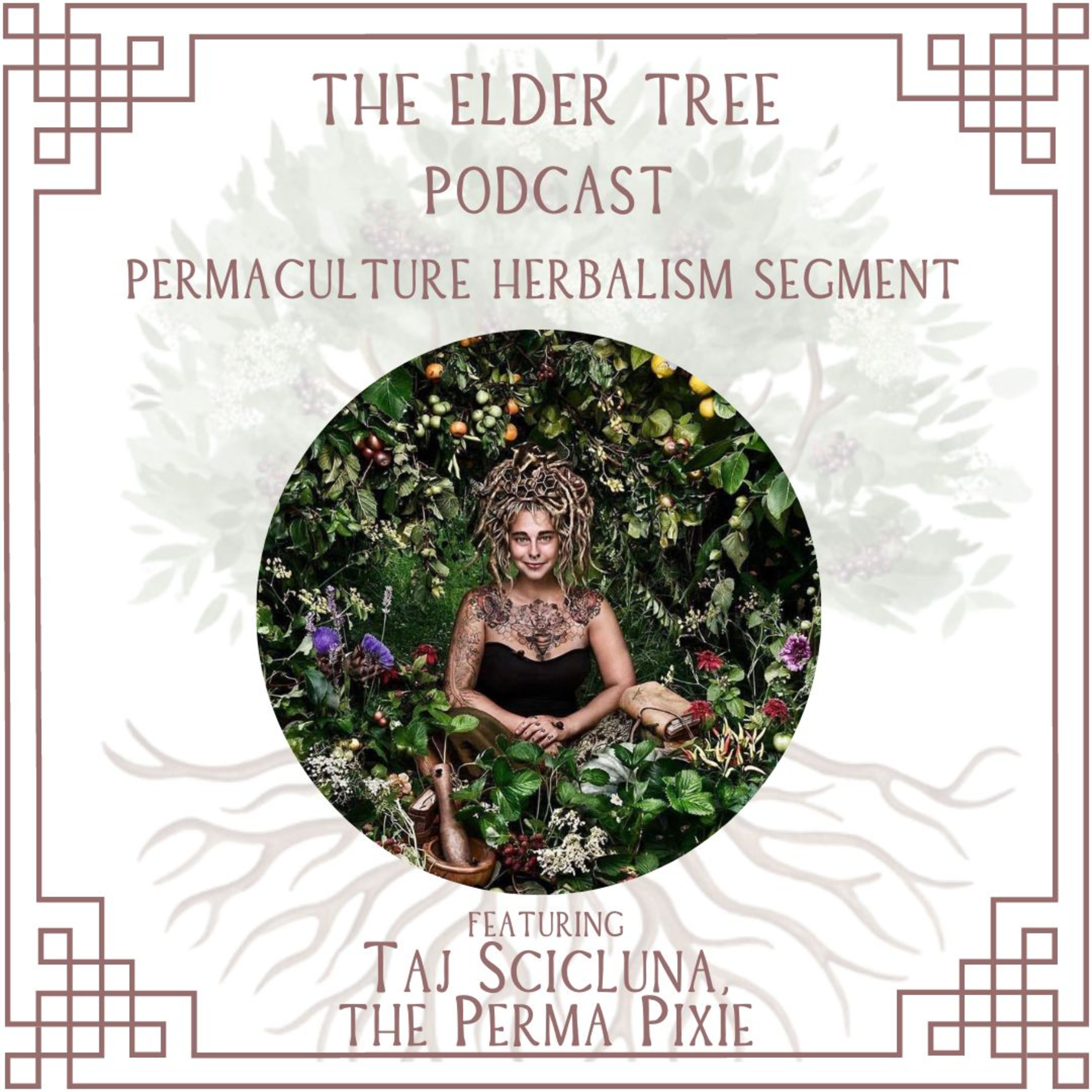 26. BotAnarchy, Art and Being a Botanical Revolutionary: Taj Scicluna, The Perma Pixie on Permaculture Herbalism episode artwork