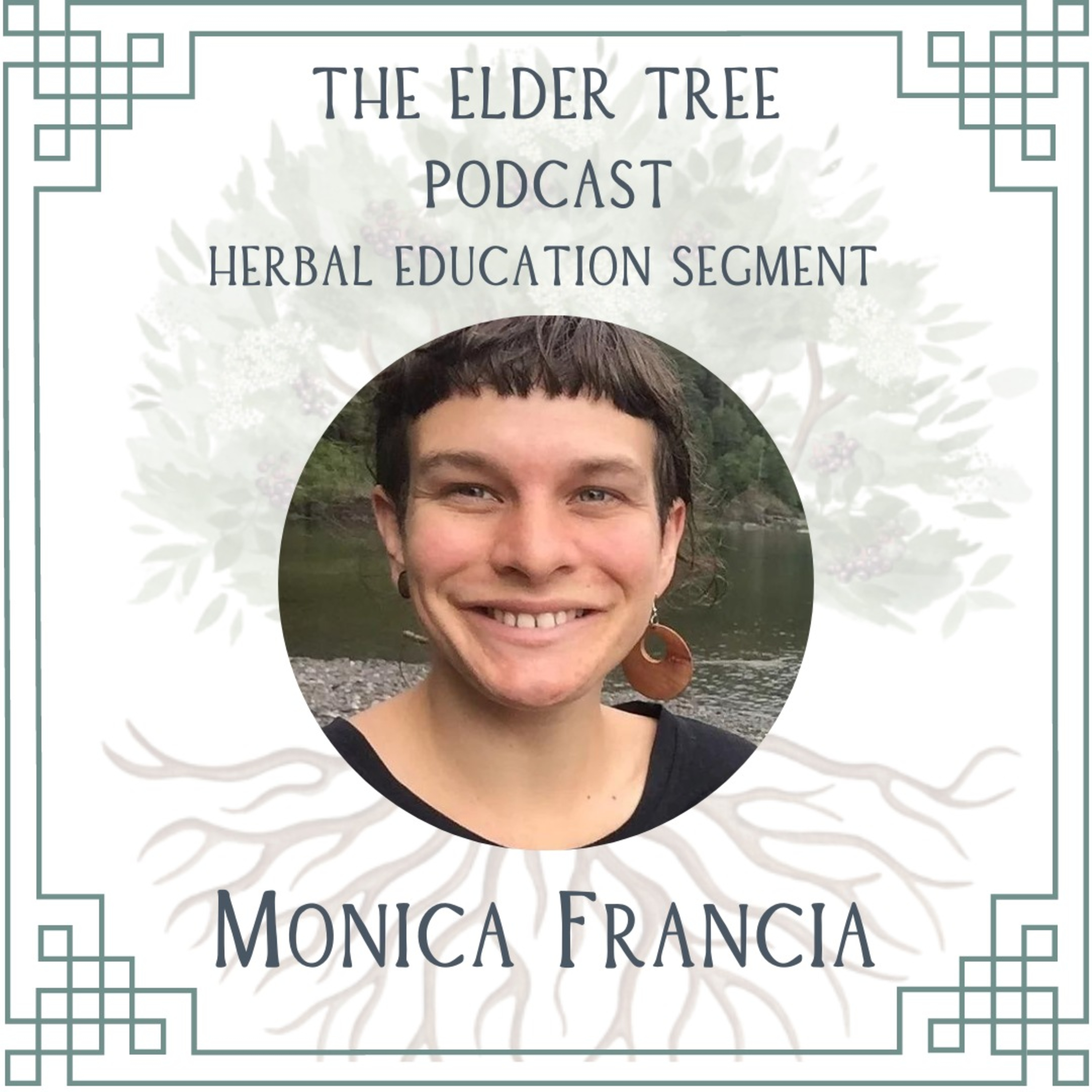 29. From Farm to Apothecary & Community Herbalism: Monica Francia on Herbal Education episode artwork