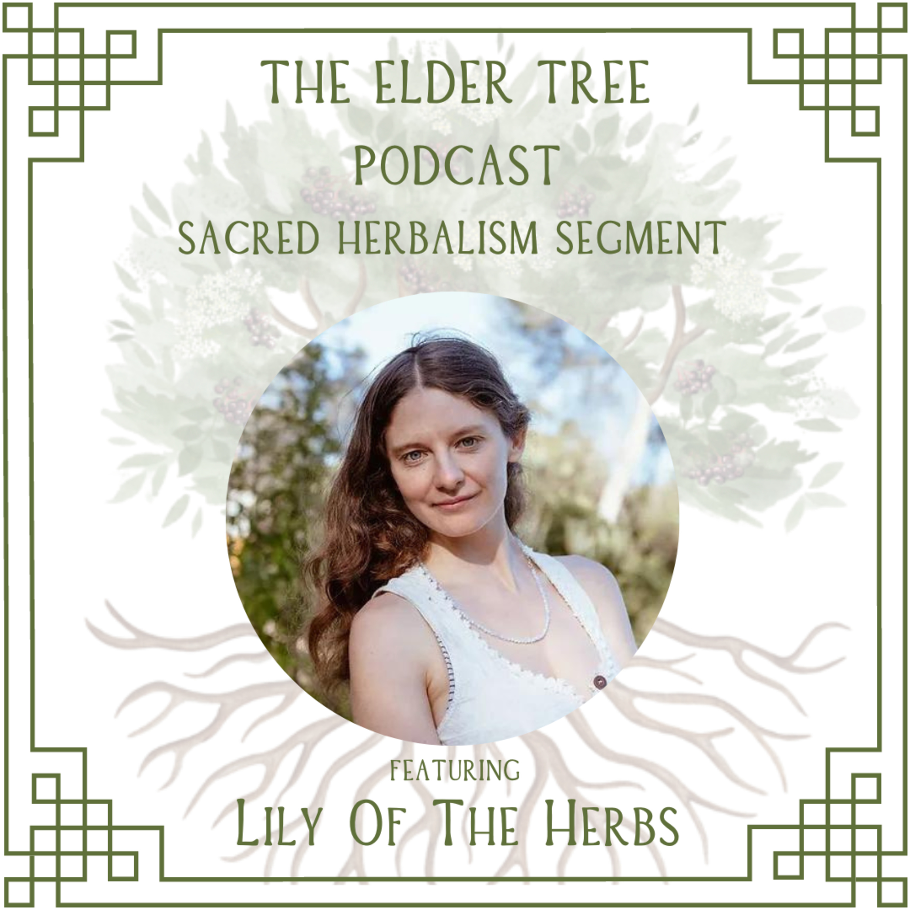 31: The Unknowable Mystery of Dreams and Plants: Lily of the Herbs on Sacred Herbalism episode artwork