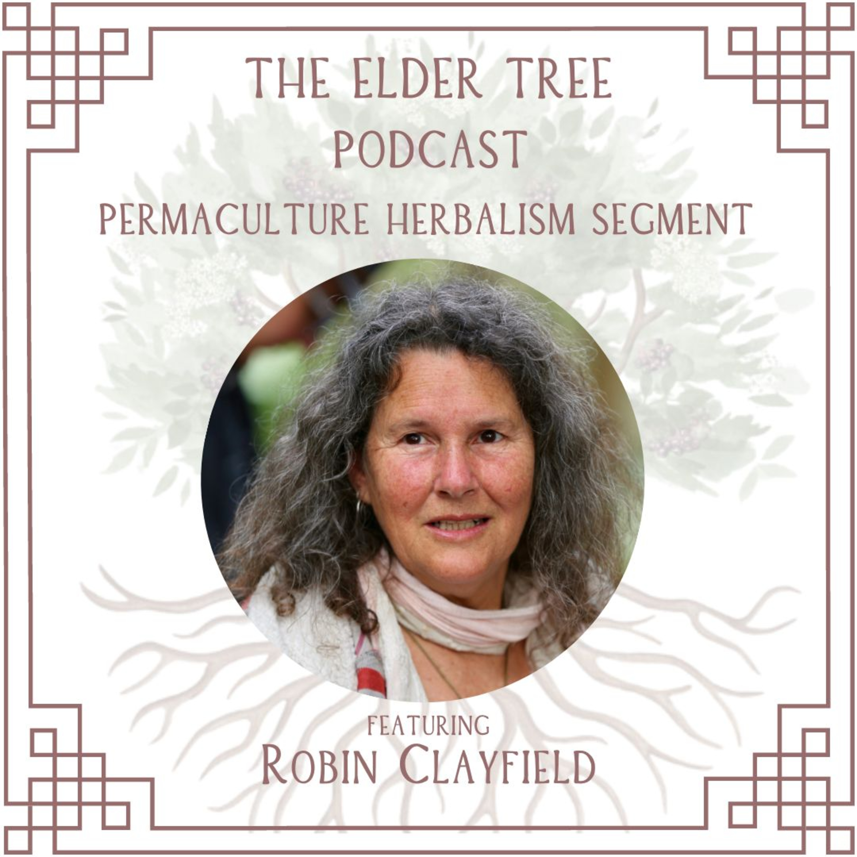 34. Dynamic Groups, Eco-village Living & Elemental Prayer: Robin Clayfield on Permaculture Herbalism episode artwork