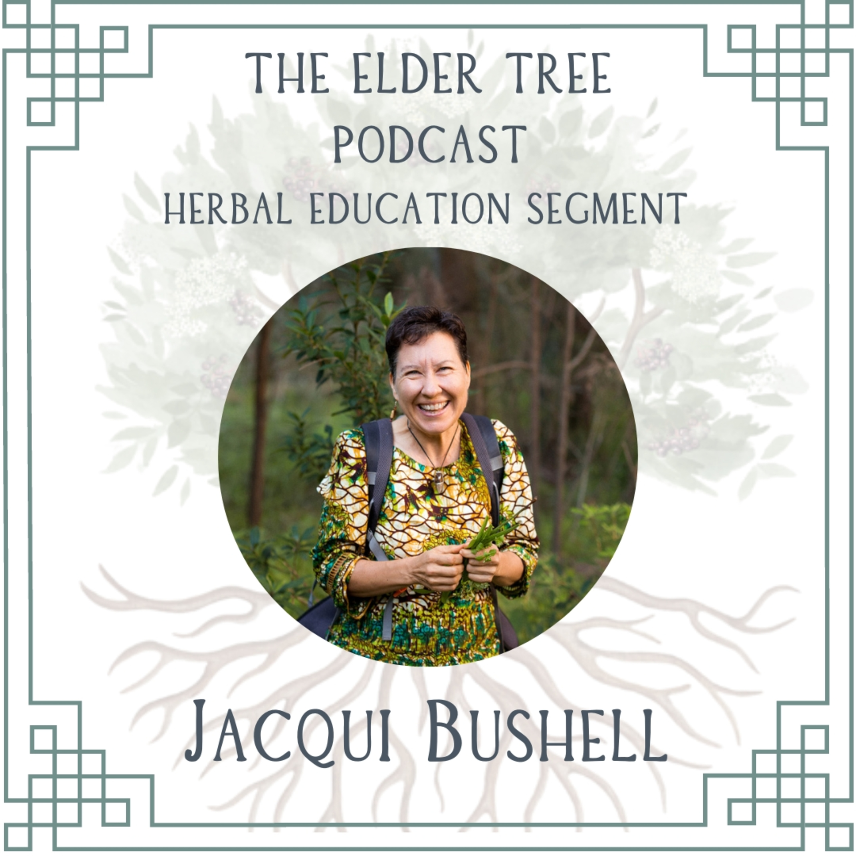 37. Nature as a Co-facilitator and the Need for Deep Listening: Jacqui Bushell on Herbal Education episode artwork