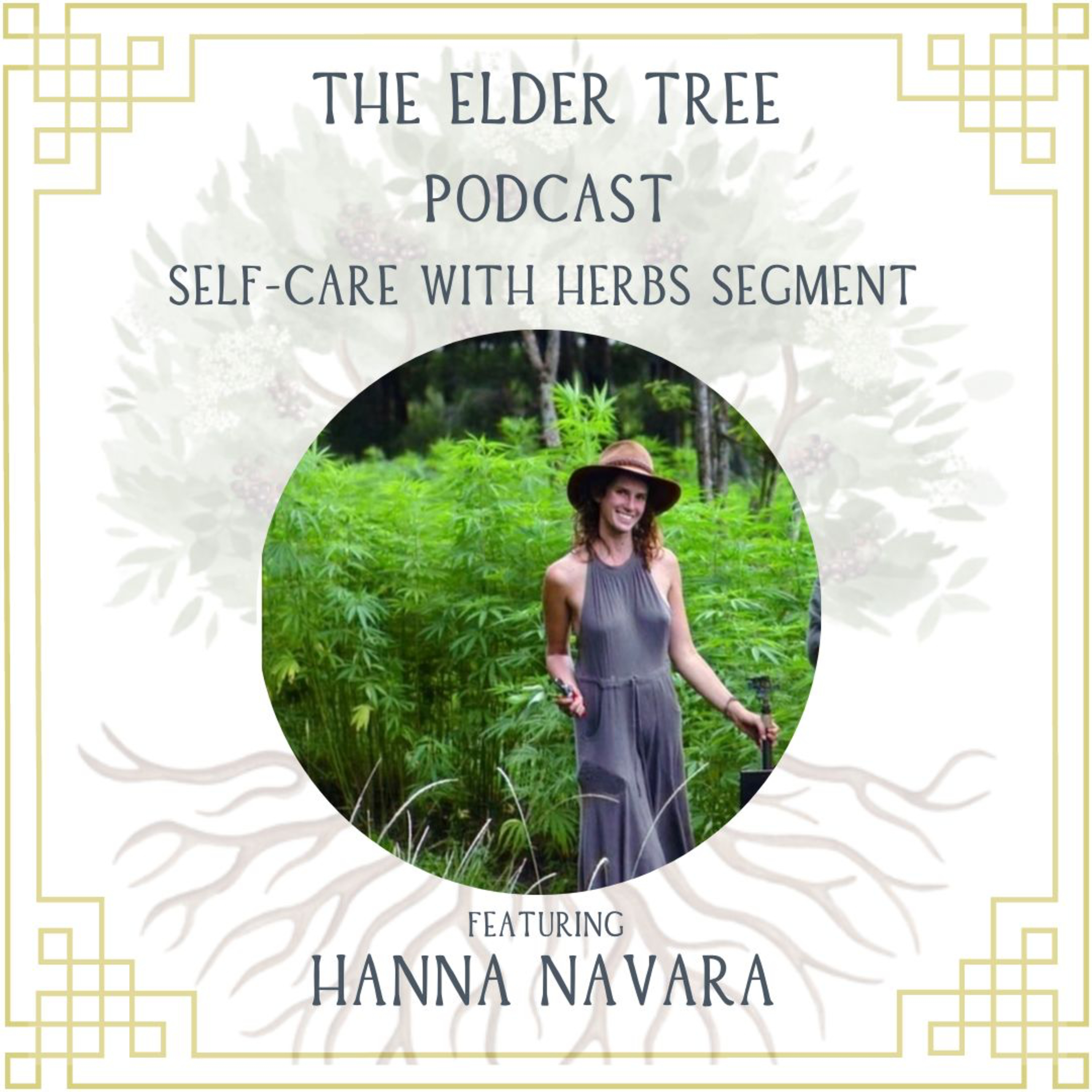 44. Applying Permaculture principles to Self Care: Hanna Navara on Self Care with Herbs episode artwork
