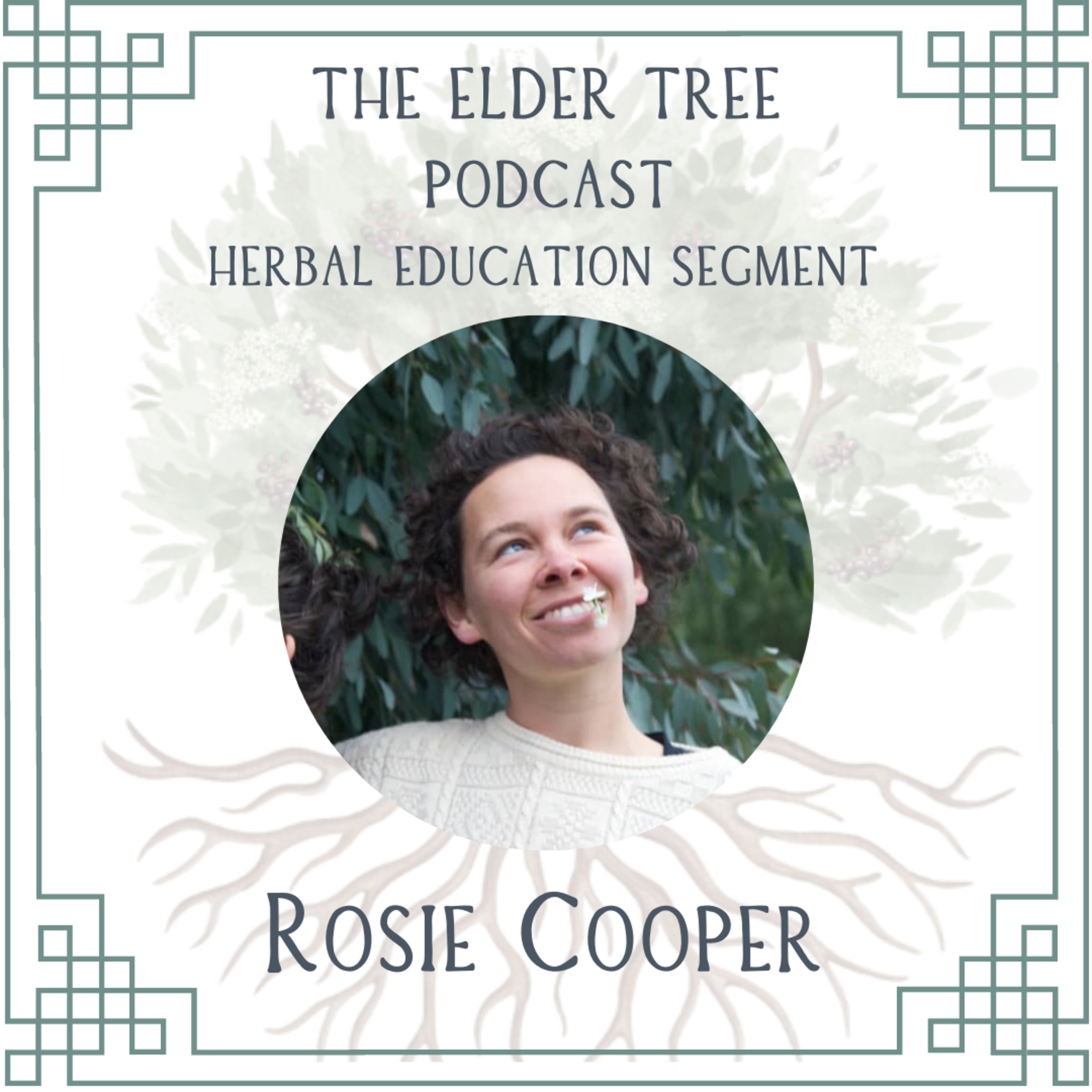 45. Grassroots Herbal Educators Sprouting up from the Ground: Rosie Cooper on Herbal Education