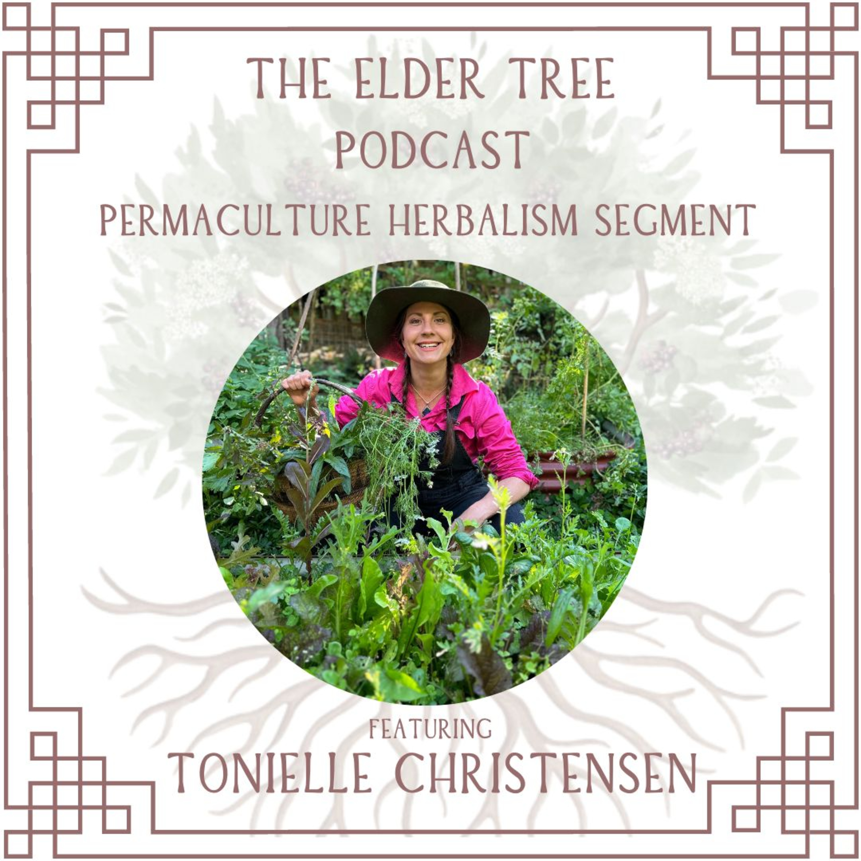 50. Spring Equinox, Launching the Trove and Celebrating Ostara with Earth Mumma on Permaculture Herbalism