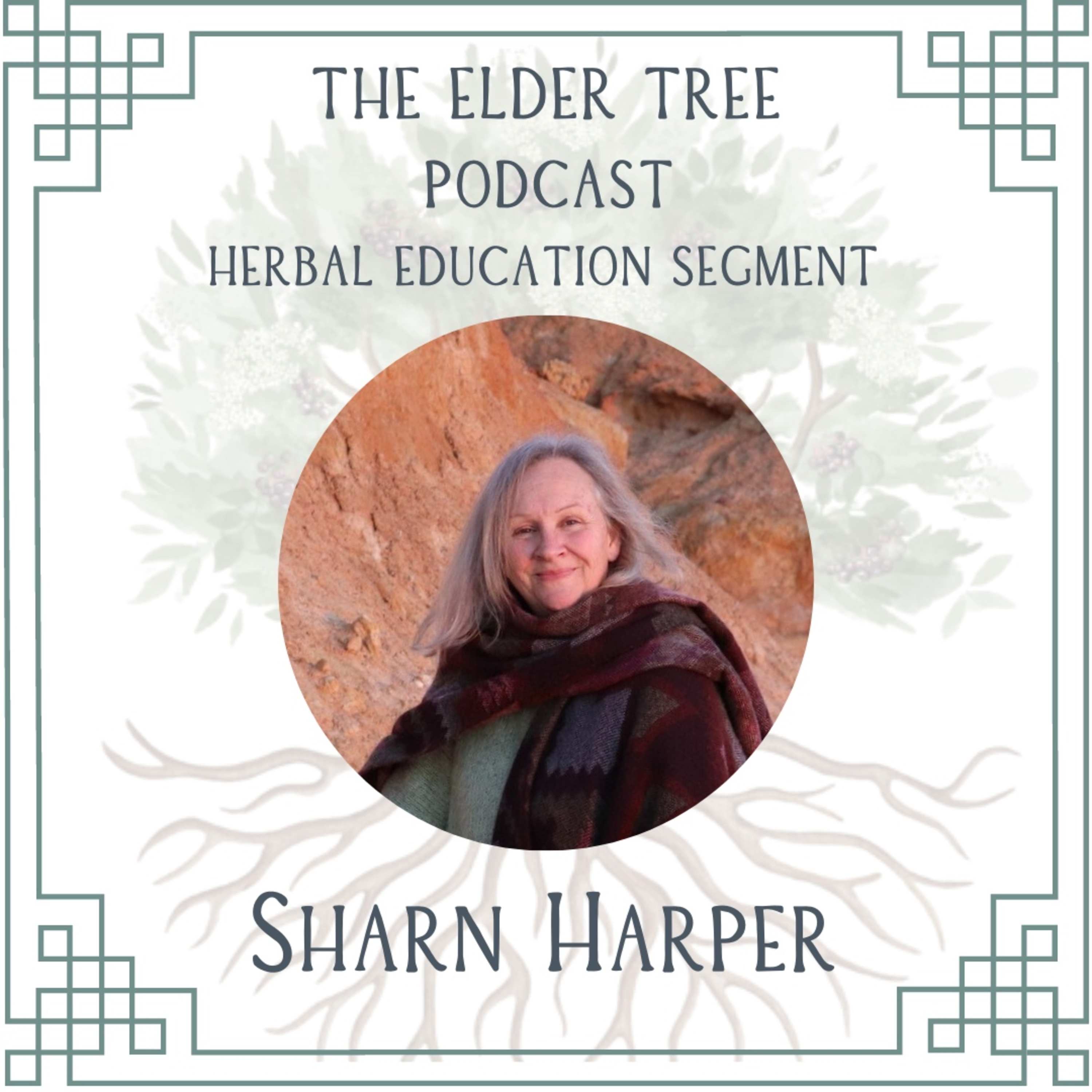 49. Herbal Medicine is the People's Medicine: Sharn Harper on Herbal Education