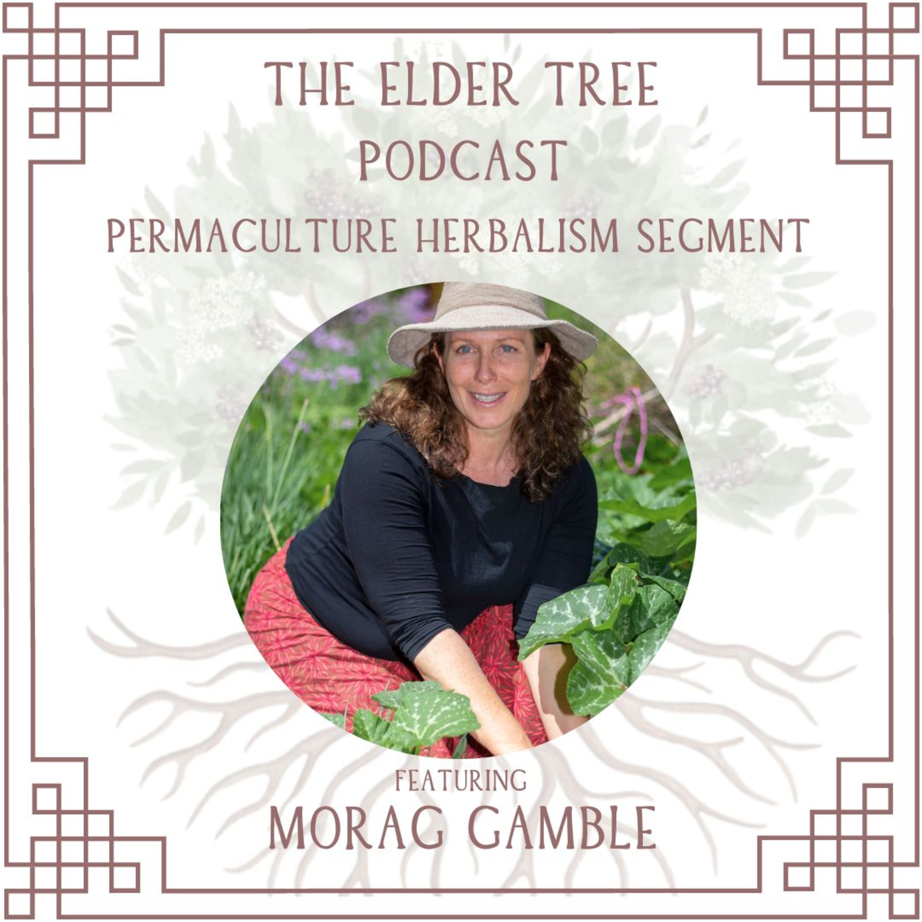 54. Backdoor Medicines, Being Gardened and Education with Hope: Morag Gamble: Permaculture Herbalism episode artwork