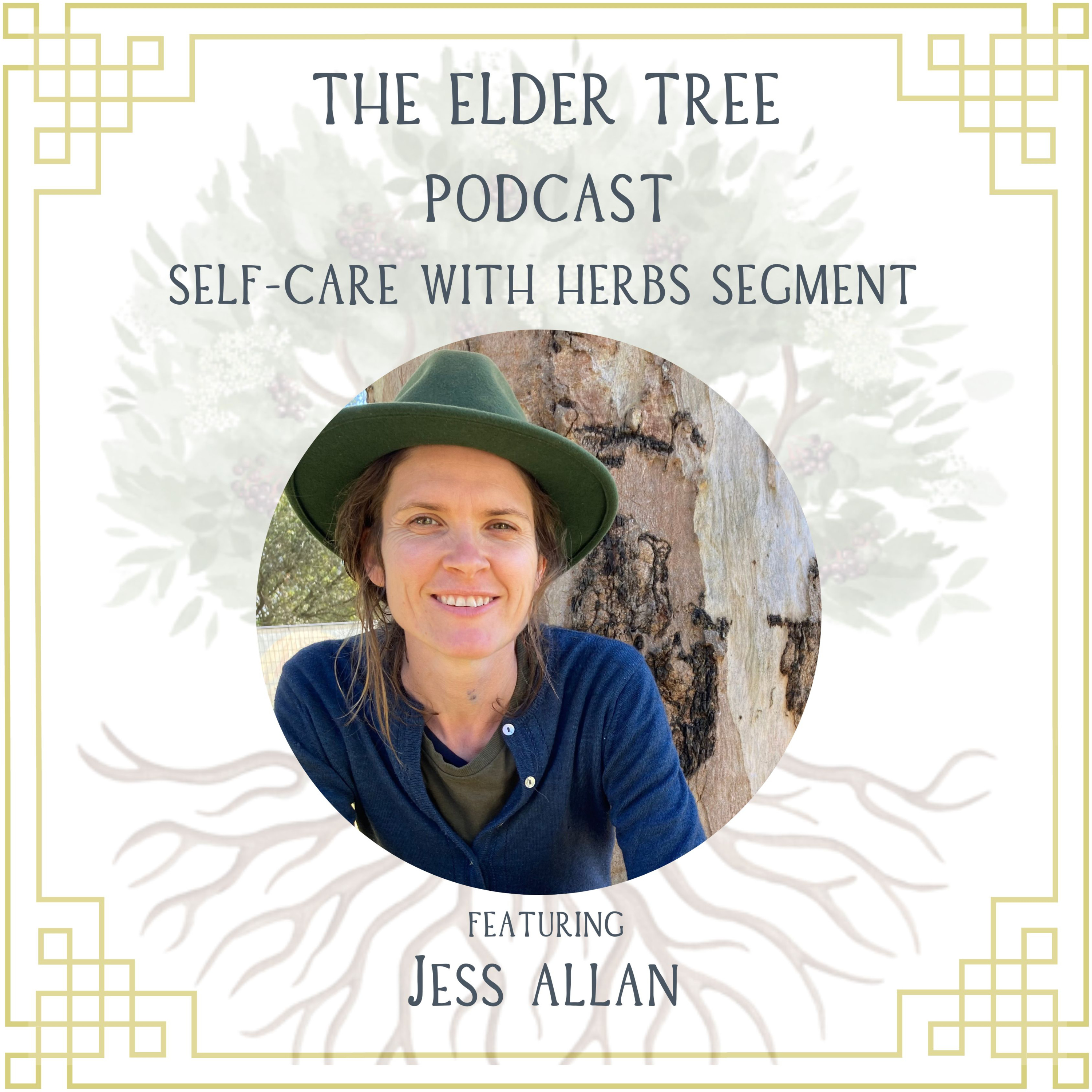 56. The Alchemy of People and Plants: Jess Allan on Self Care with Herbs