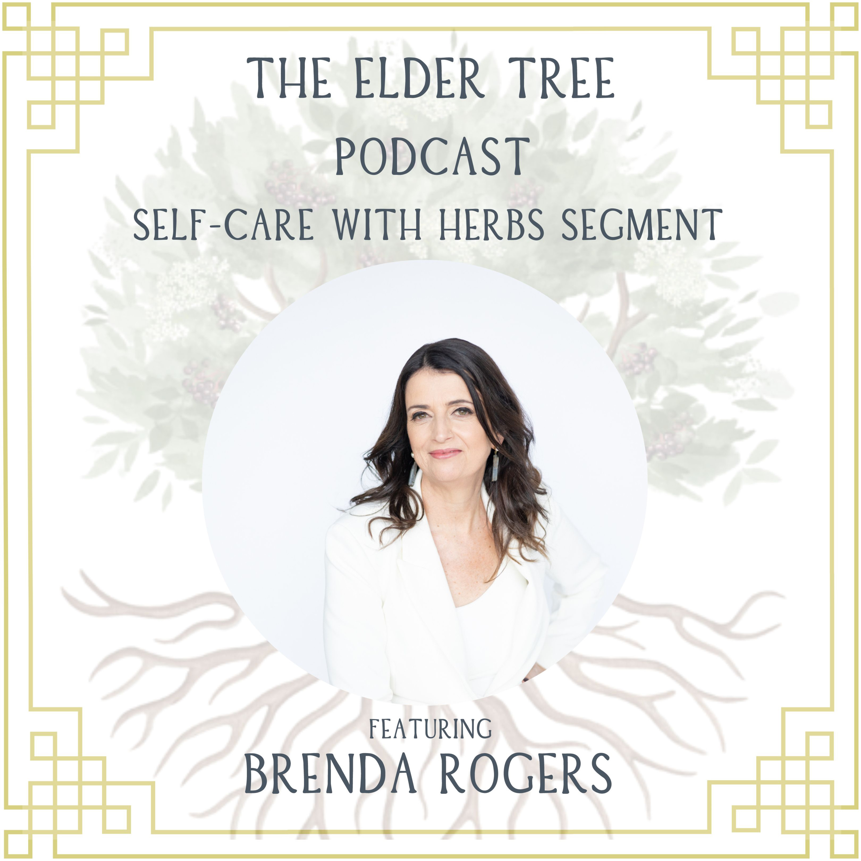 60. Finding the Sacred in our Everyday: Brenda Rogers on Self Care with Herbs