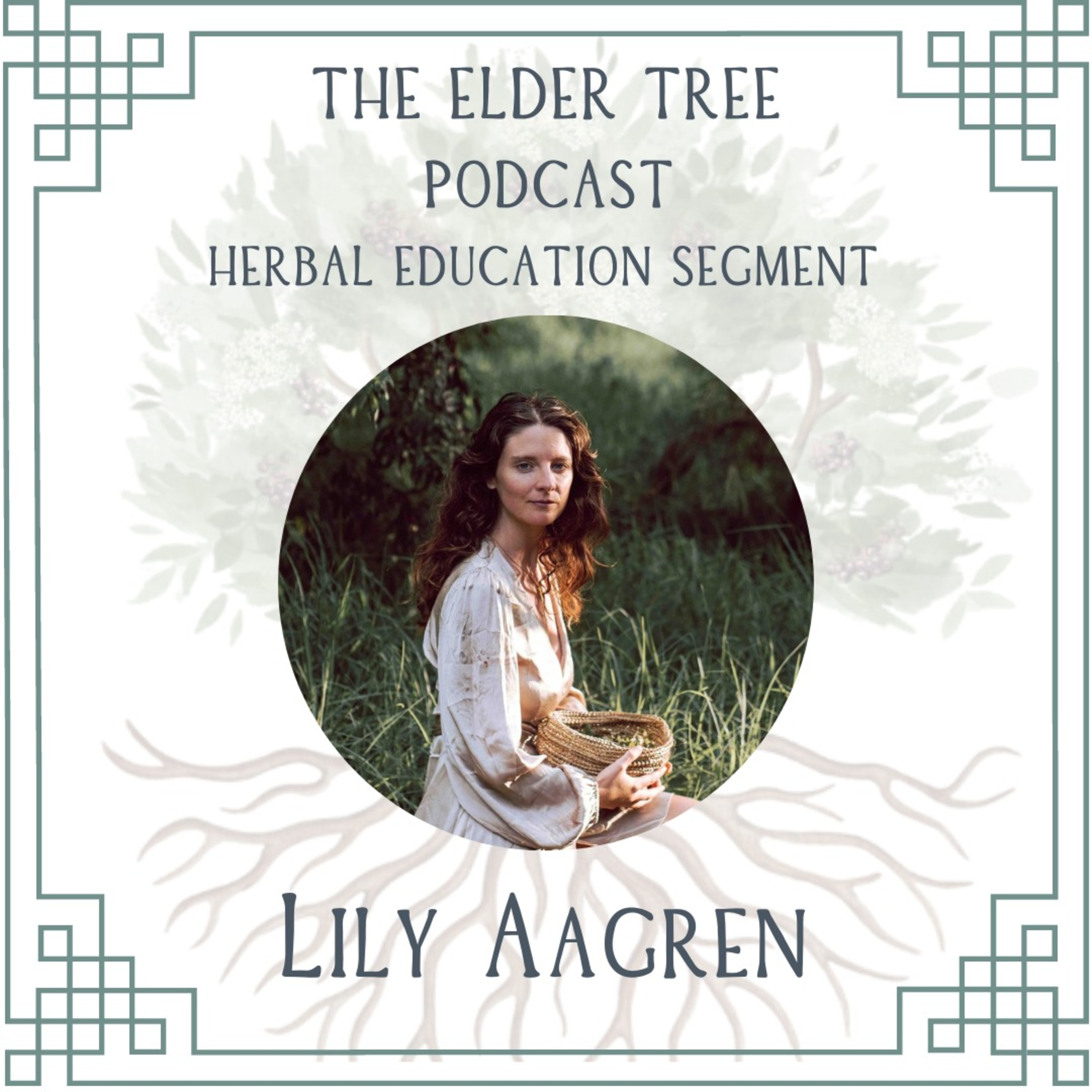61. Following the Mystery of Medicine: Lily Aagren on Herbal Education episode artwork