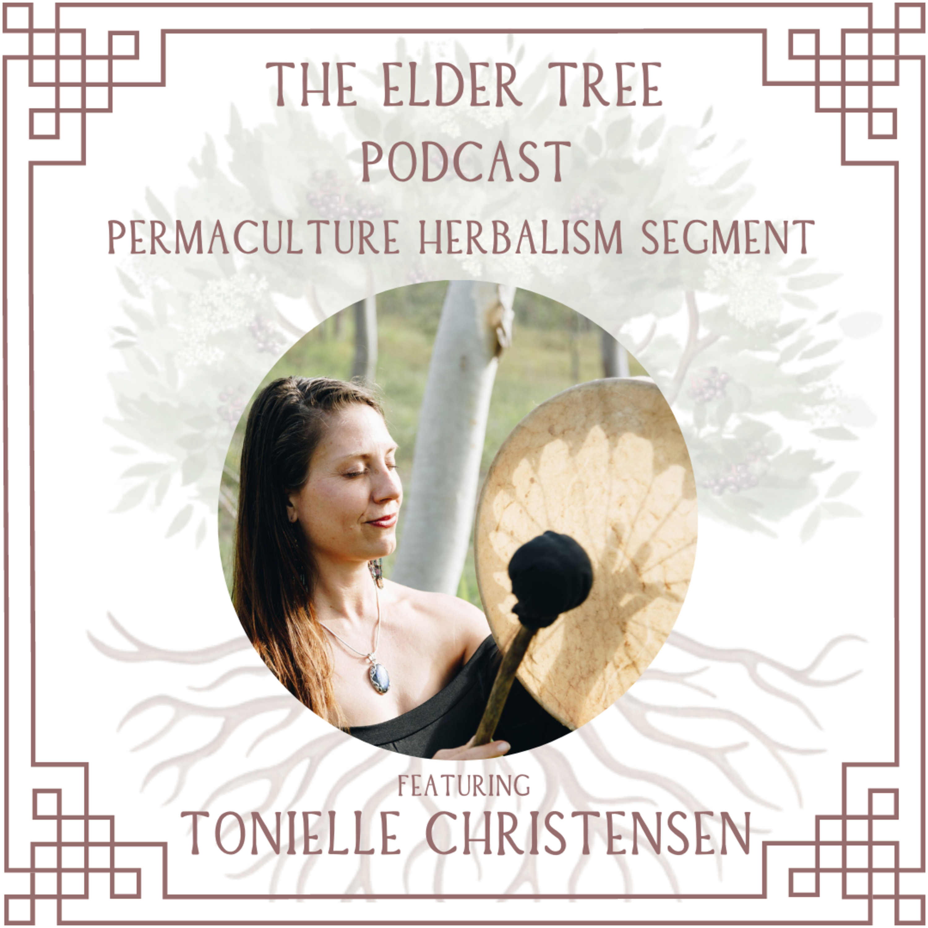 66. Sociocracy Basics Explained and Dynamic Decision-making Tools: Tonielle Christensen on Permaculture Herbalism
