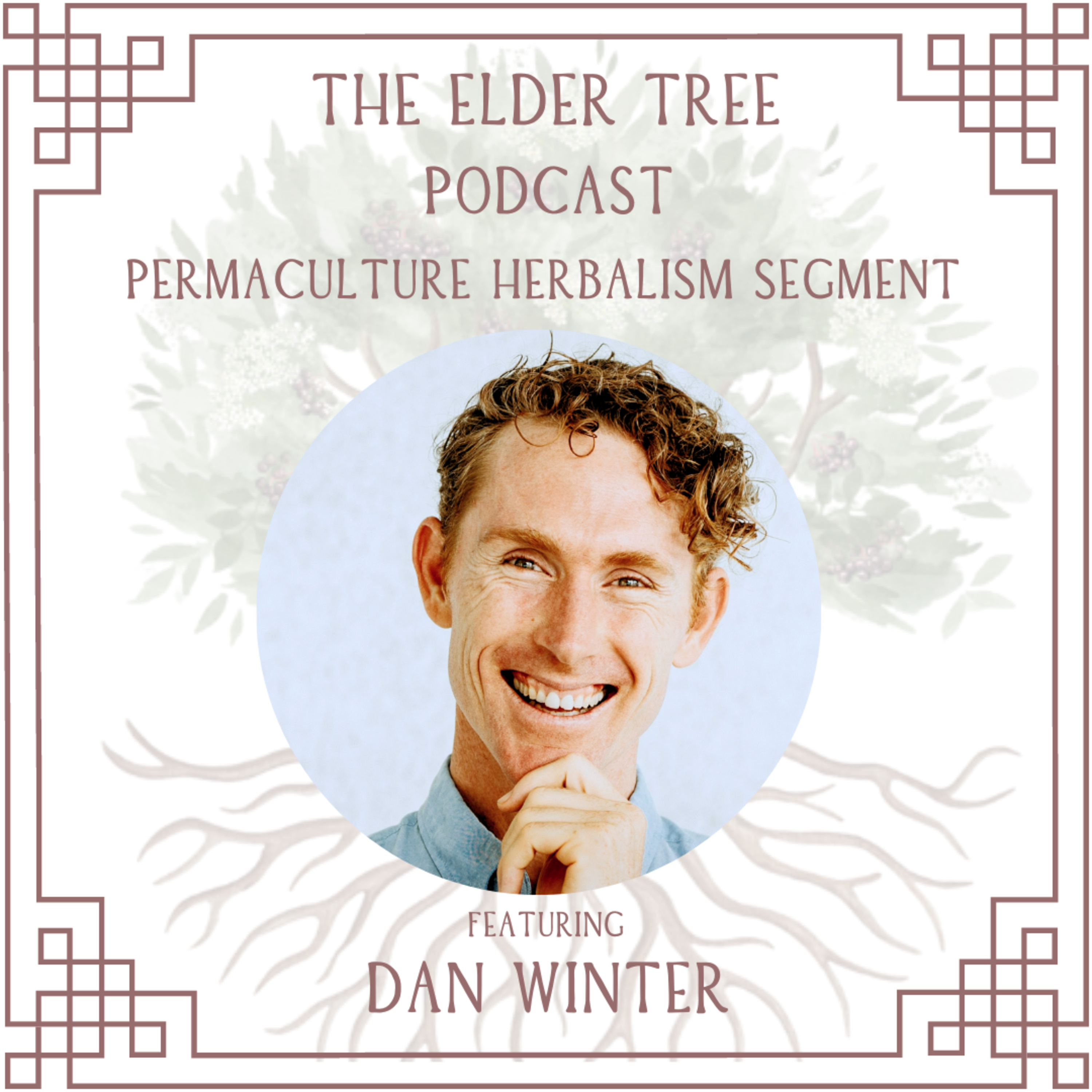 The Elder Tree Podcast