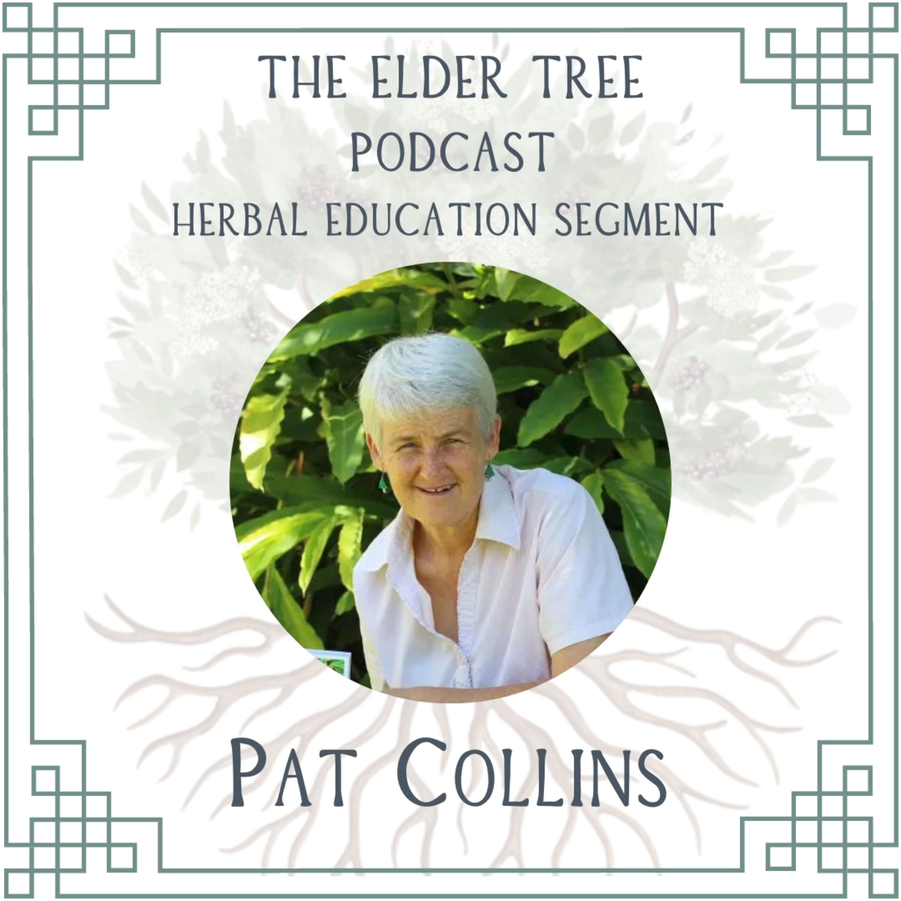 The Elder Tree Podcast