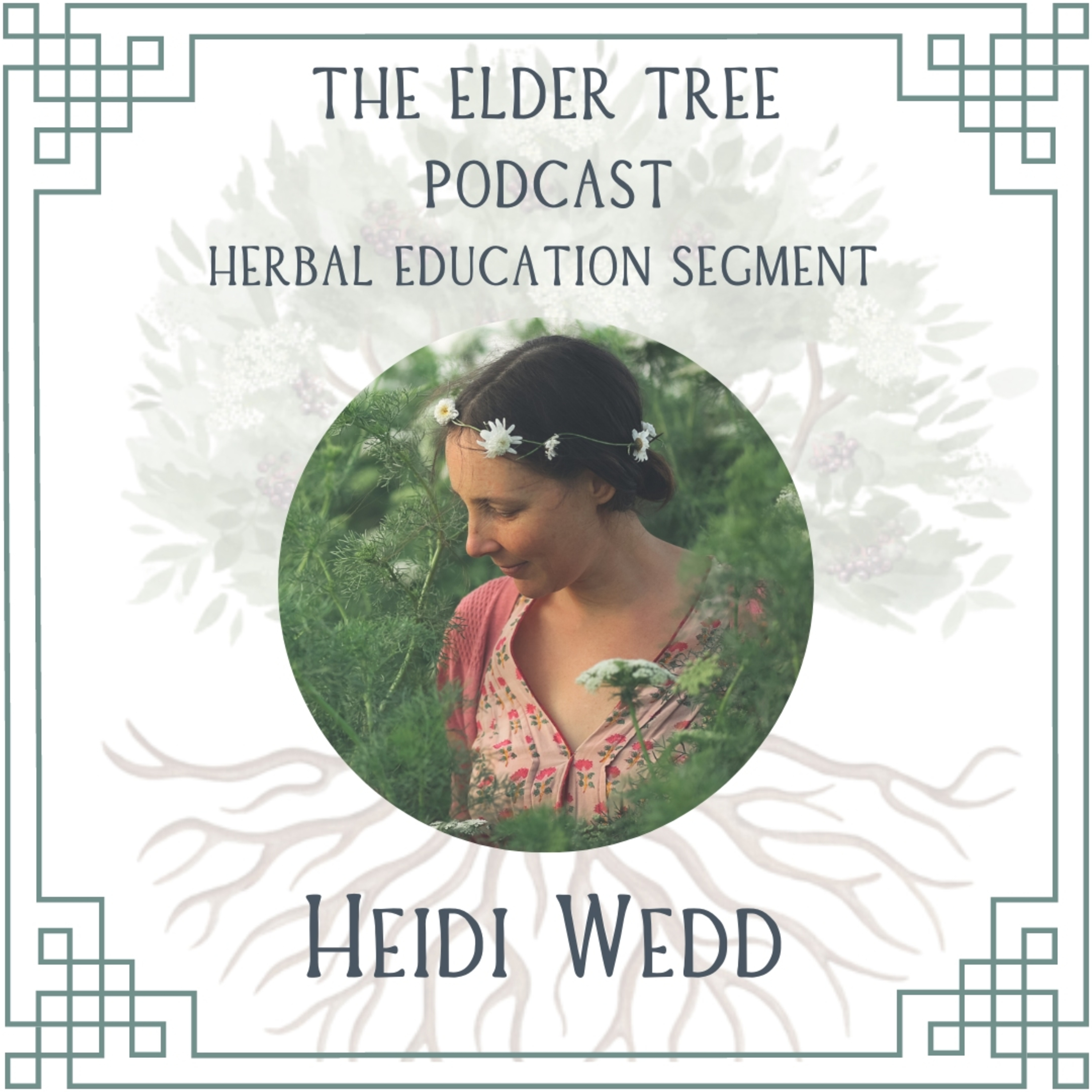 The Elder Tree Podcast